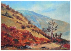 Vibrant California Hills Landscape