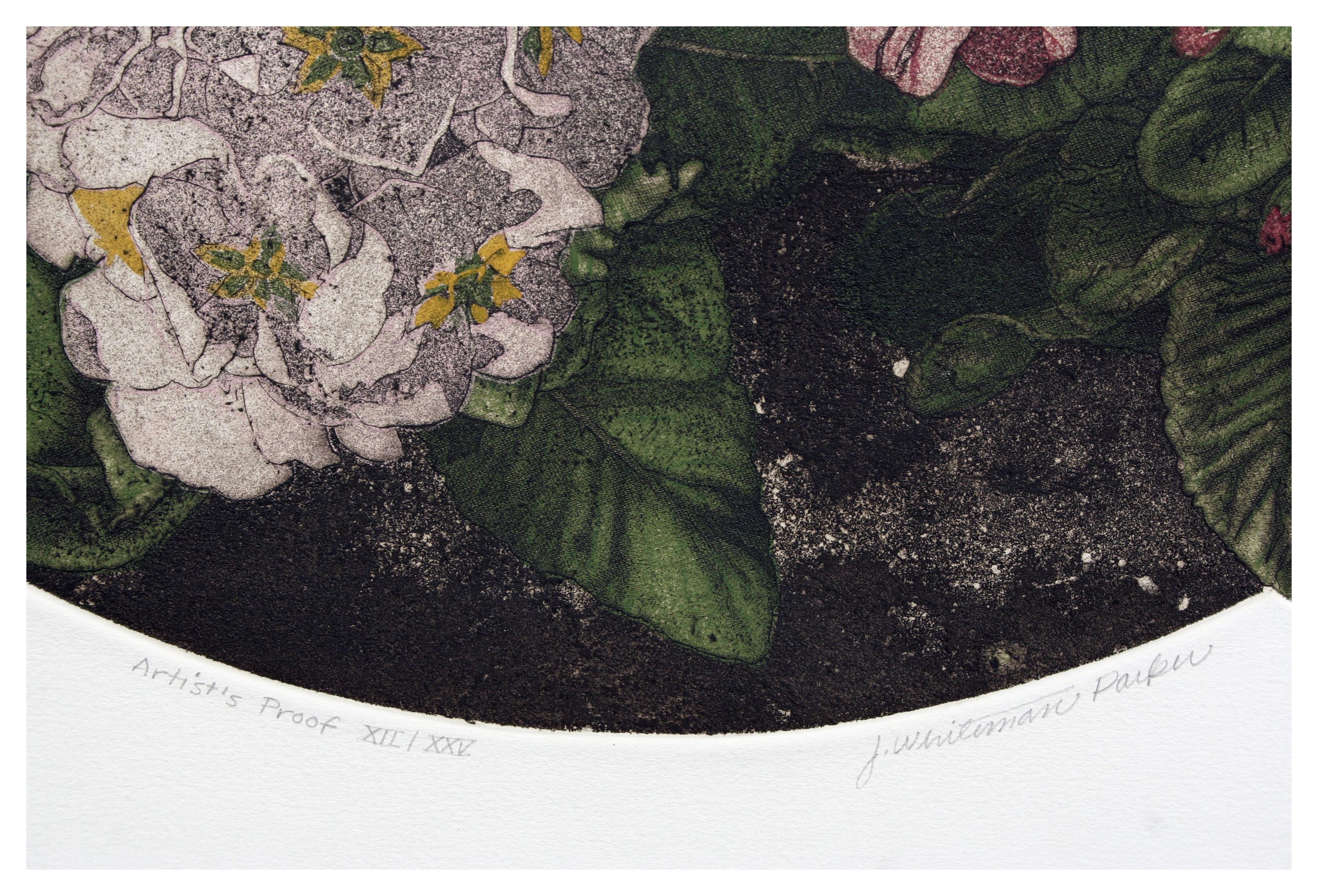 Primula Polyanthus (Primrose) Botanical Etching - Realist Print by J Whiteman Parker