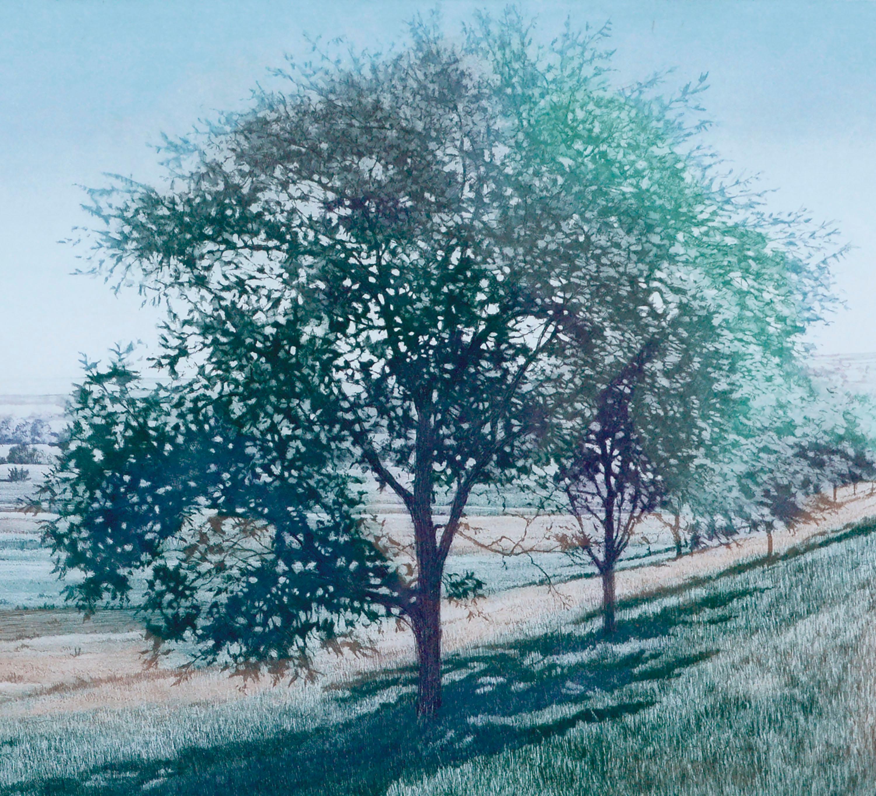 cavens aldridge