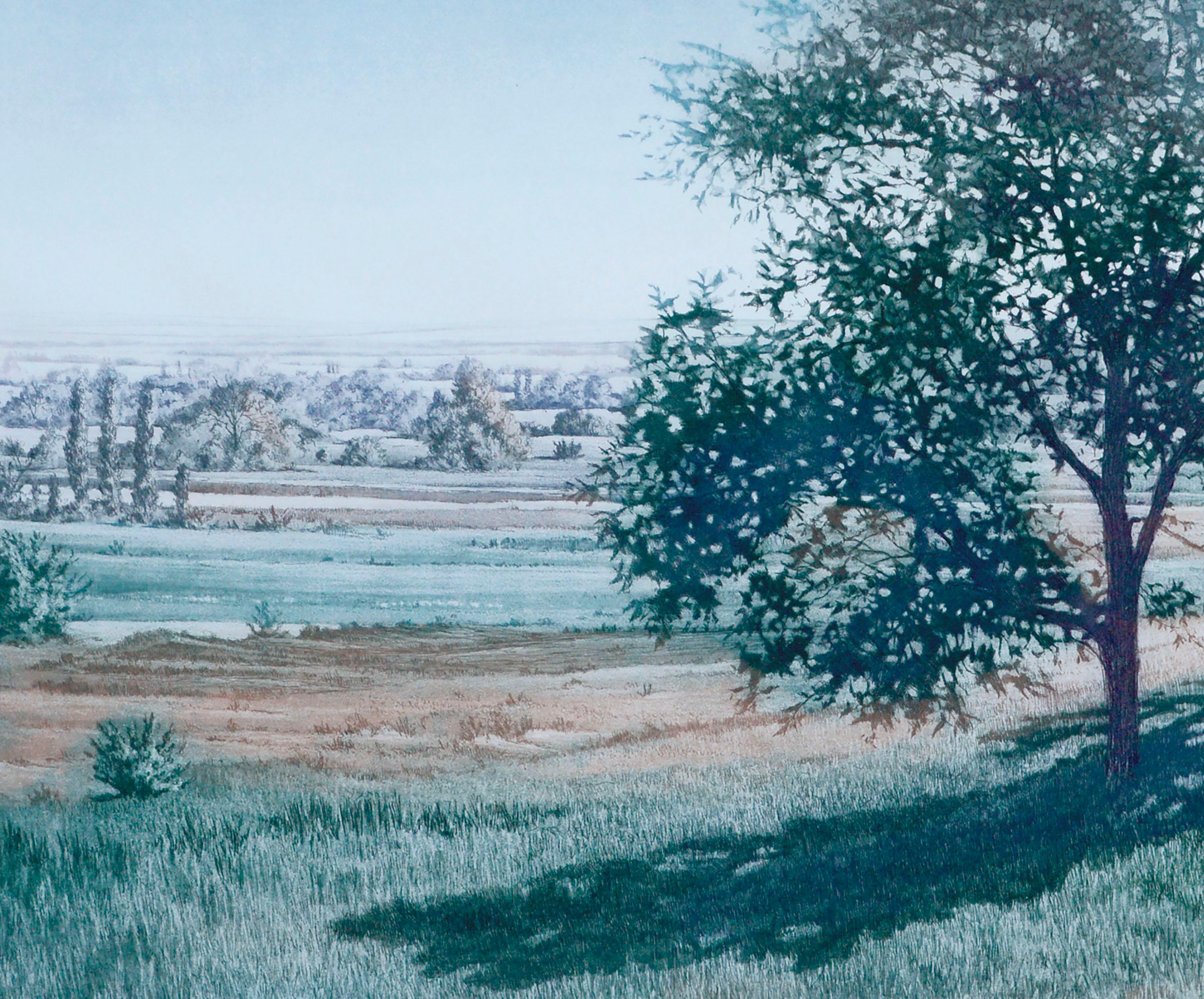 Detailed landscape of a realistic tree and its shadow on a grassy hill in the foreground, with a pastoral landscape unfolding into the distance, by an Donna Aldridge (American, 20th Century). Hand signed limited edition lithograph. Hand signed in