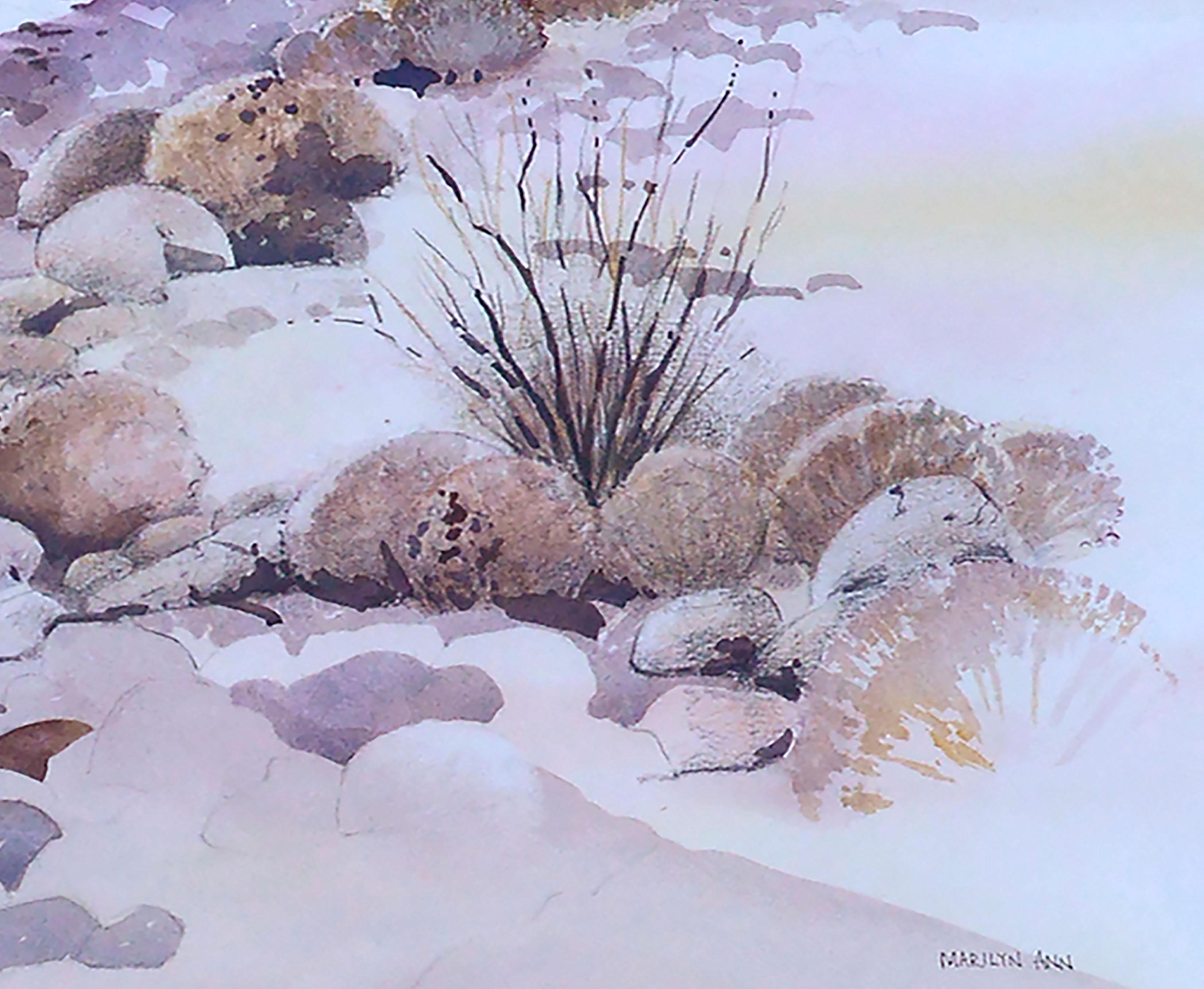 Schöne Aquarelllandschaft eines felsigen Arroyo mit einheimischen Pflanzen und entfernten Bergen in der Nähe des Death Valley National Park, Kalifornien, von der kalifornischen Künstlerin Marilyn Ann Deeds (Amerikanerin, 20. Jahrhundert). Signiert