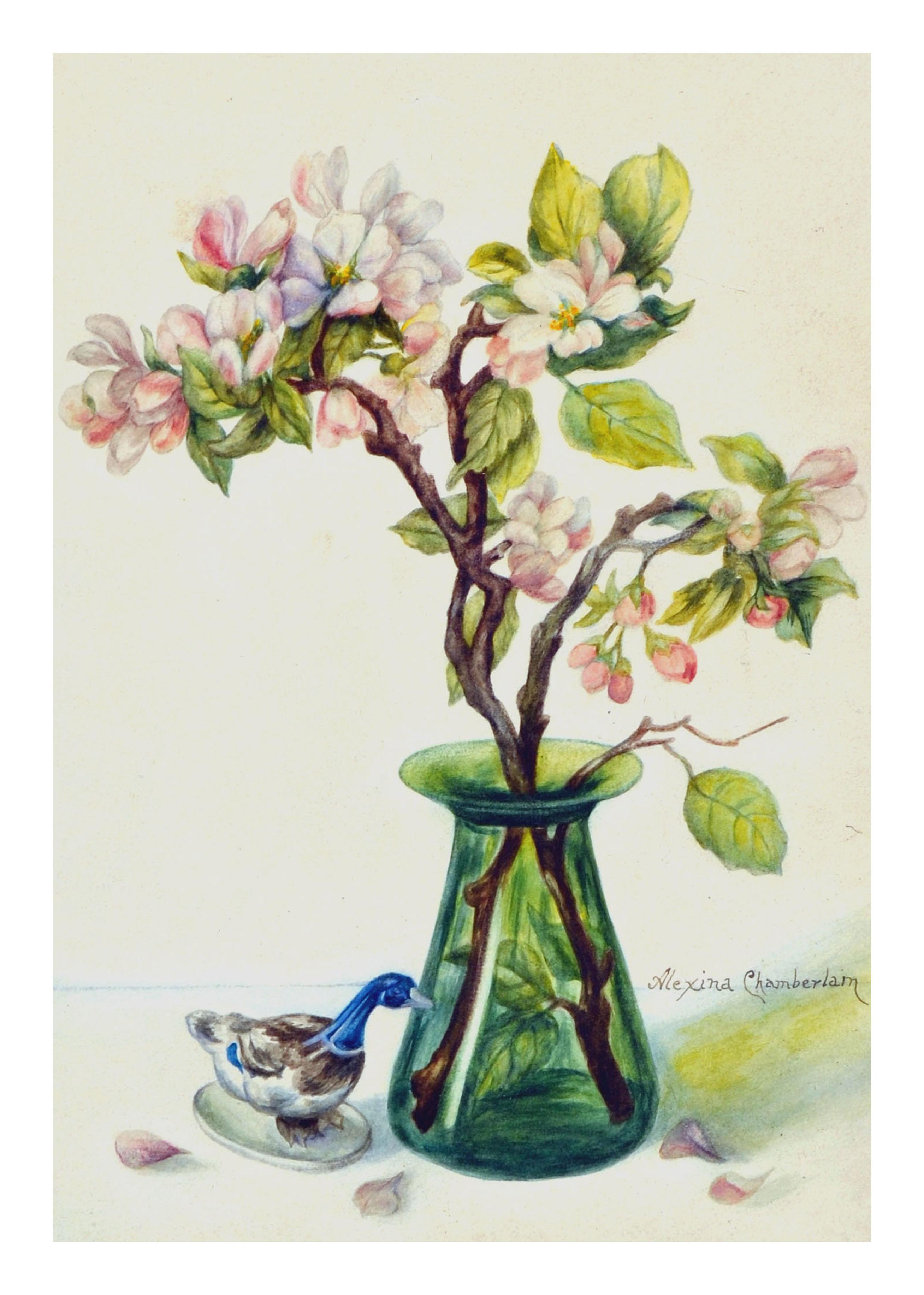 Blumen-Stillleben mit Magnolien und Gänseblümchen  (Amerikanischer Impressionismus), Art, von Alexina Chamberlain