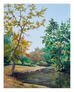 Paysage de Yosemite du milieu du siècle dernier de Tuolumne Meadows