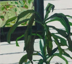 Dracaena, Natura morta di piante dell'orto botanico