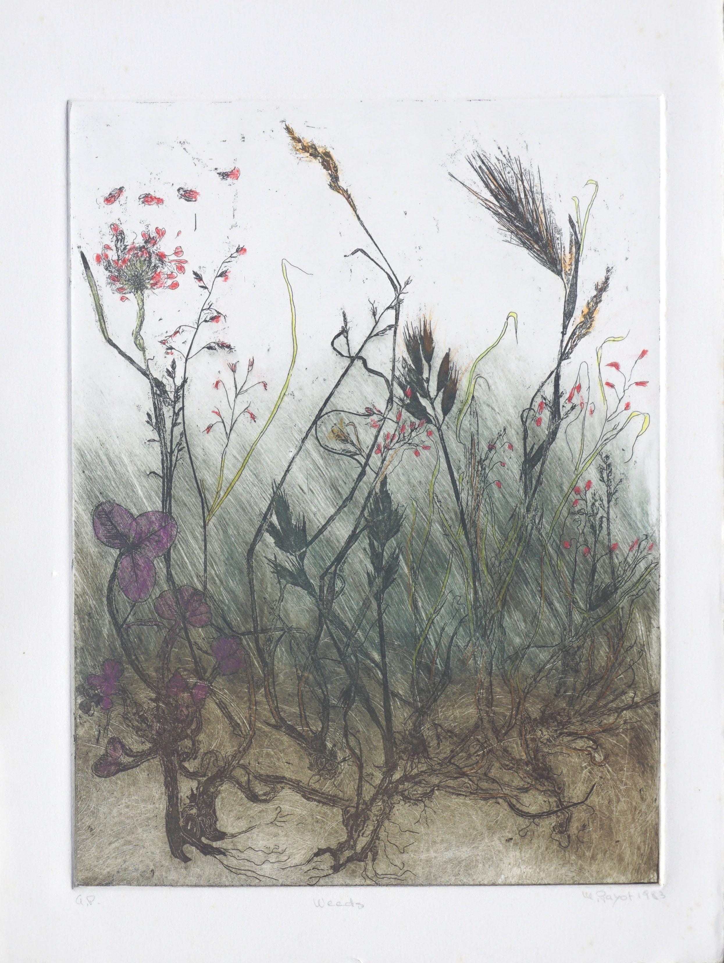 Vintage-Blumenstudie mit dem Titel „weeds“ von Marina Payot – Print von W. Payot