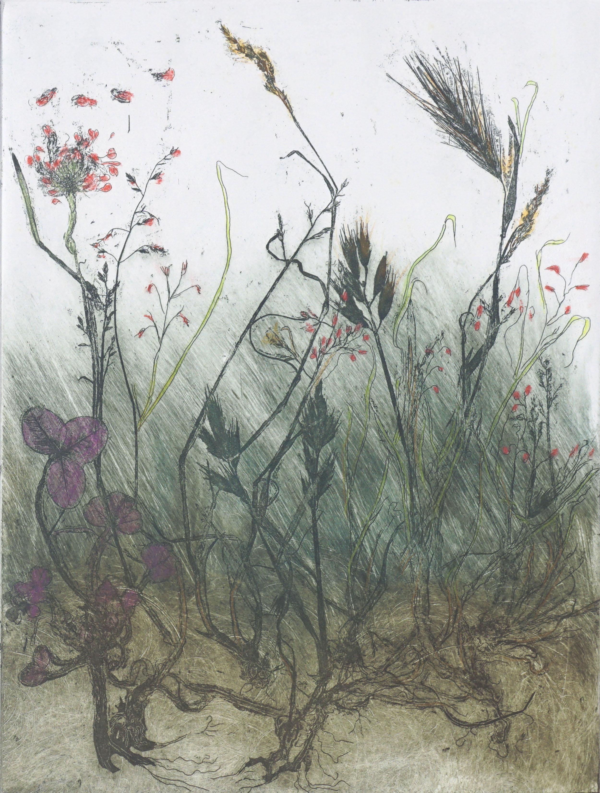 Gravure à l'eau-forte florale vintage intitulée « Weeds » de Marina Payot