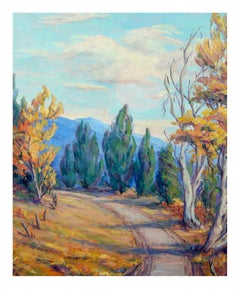 Mid Century High Mountain Road Landscape