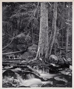 Vintage Alaska Forest Stream - Black & White Landscape Photograph
