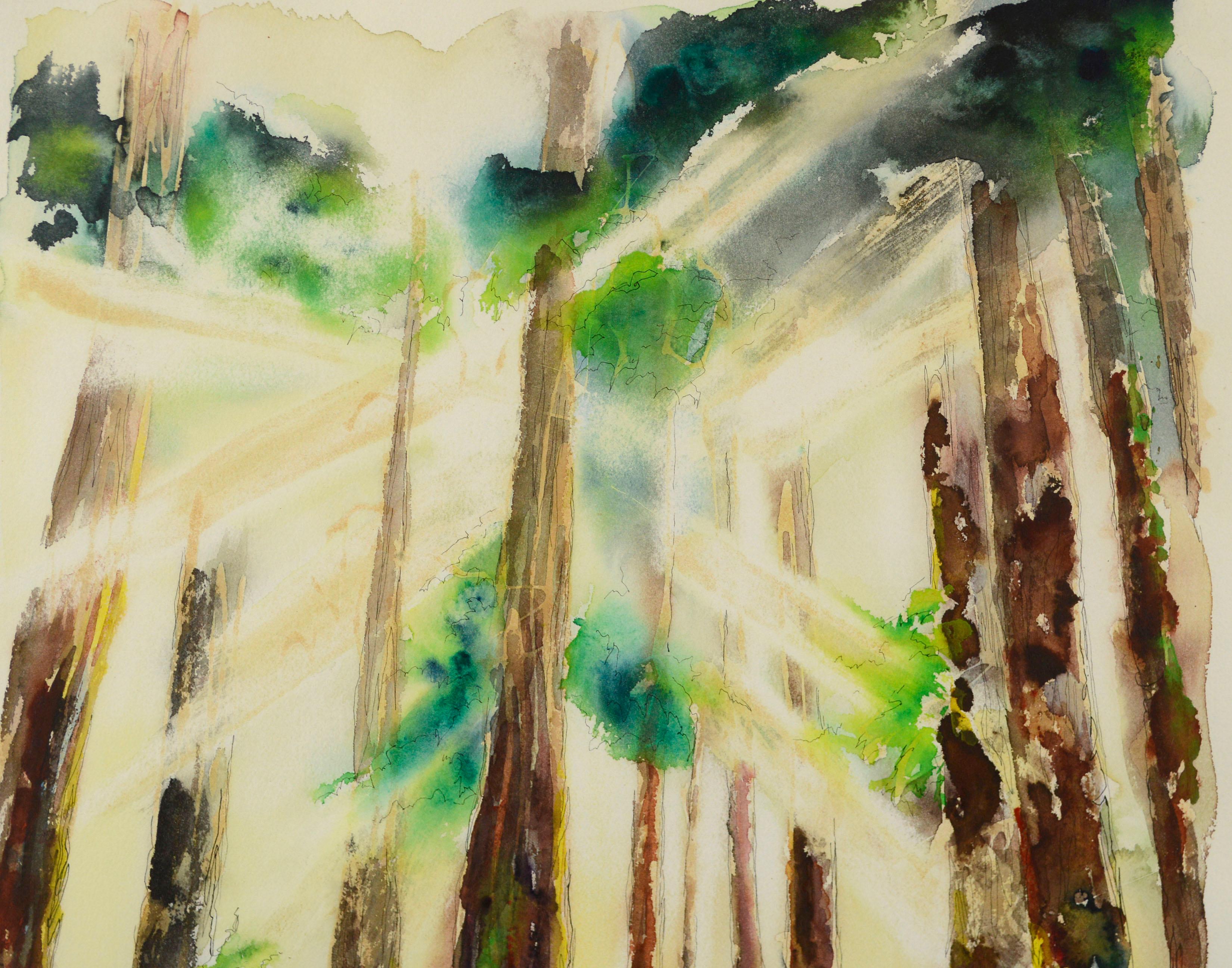 redwood watercolor