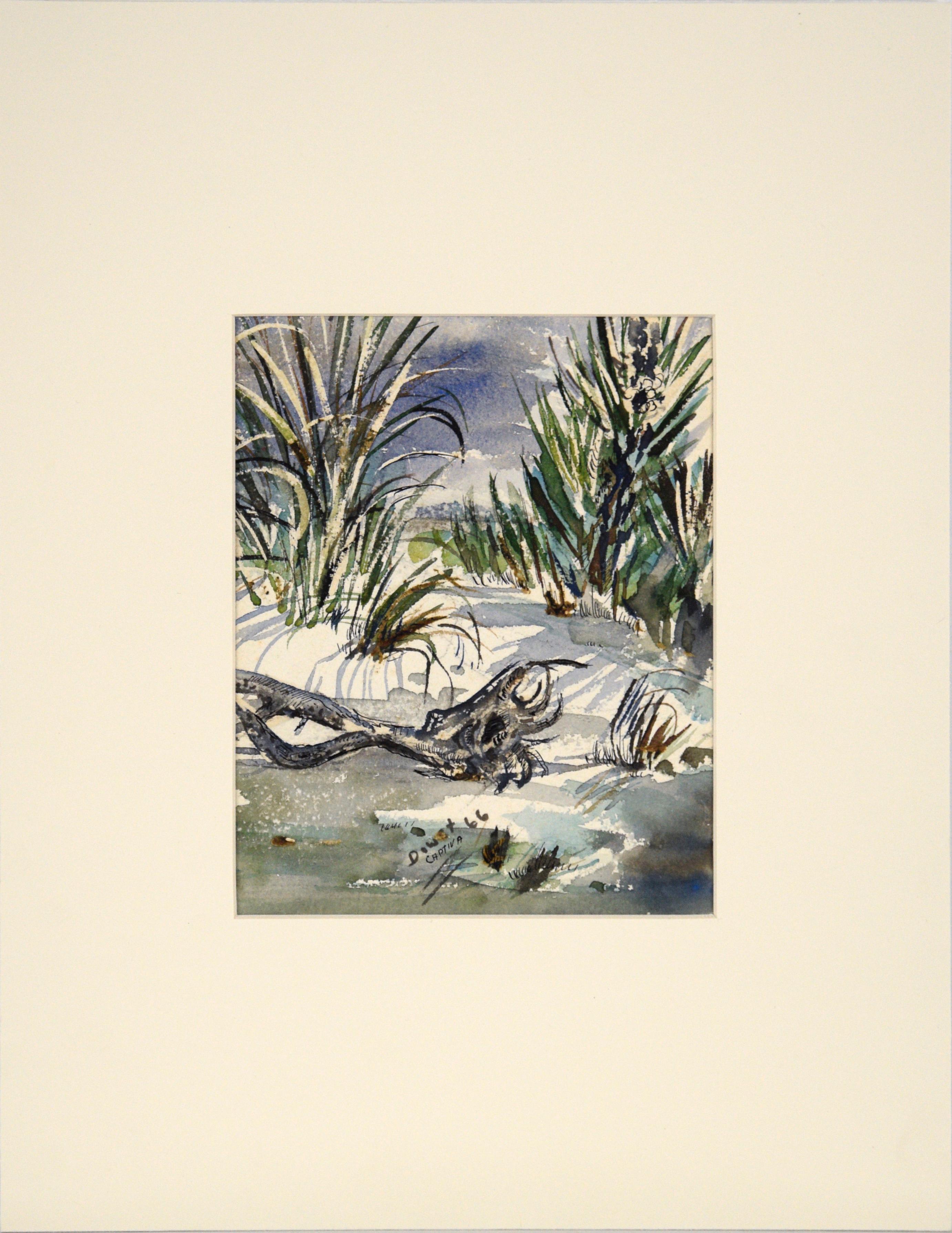 Unknown Landscape Art – Captiva-Insel, Florida – Strandlandschaft in Aquarell auf Papier