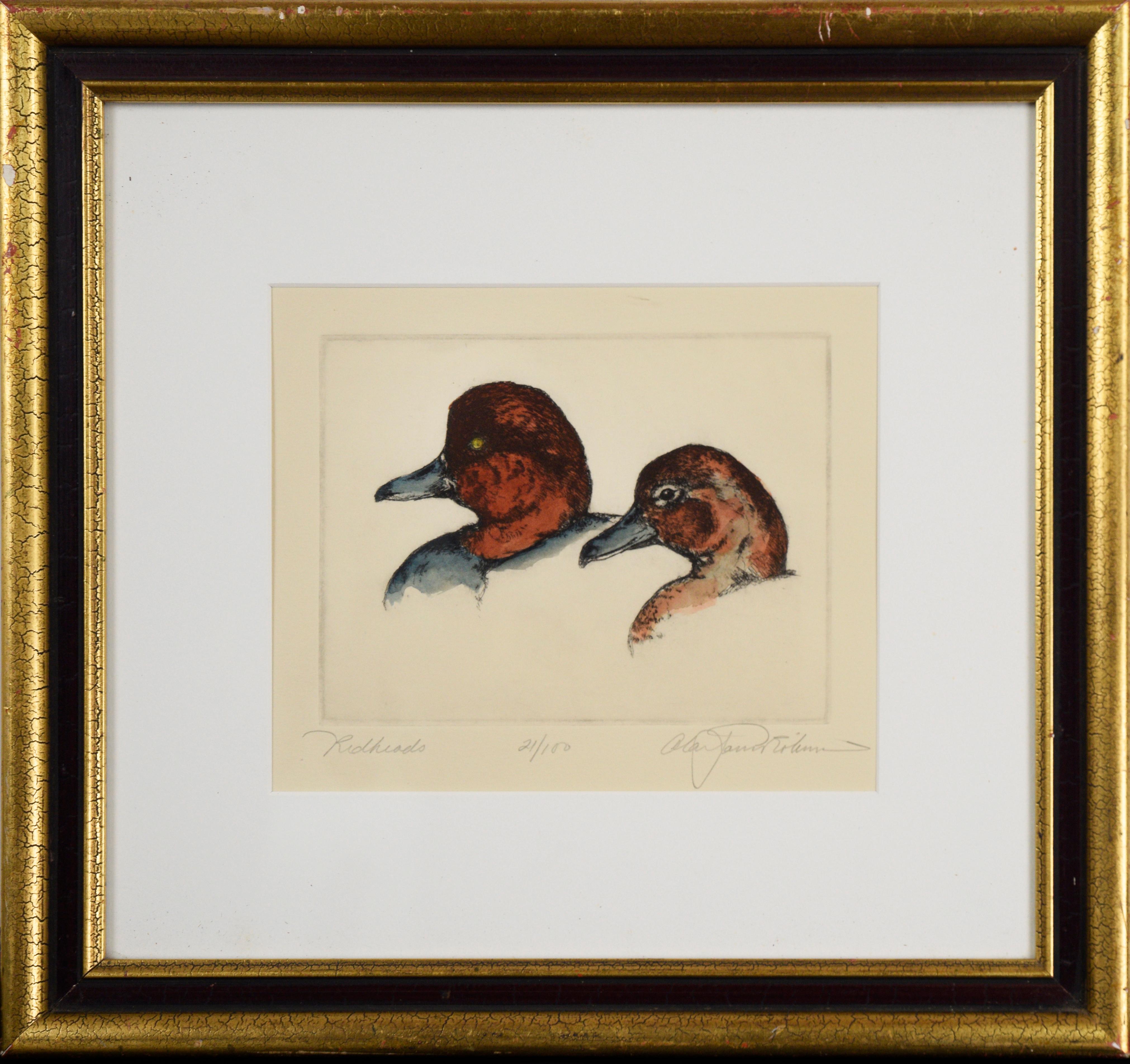Alan James Robinson Animal Art - "Redheads" - Original Watercolor and Etching on Paper