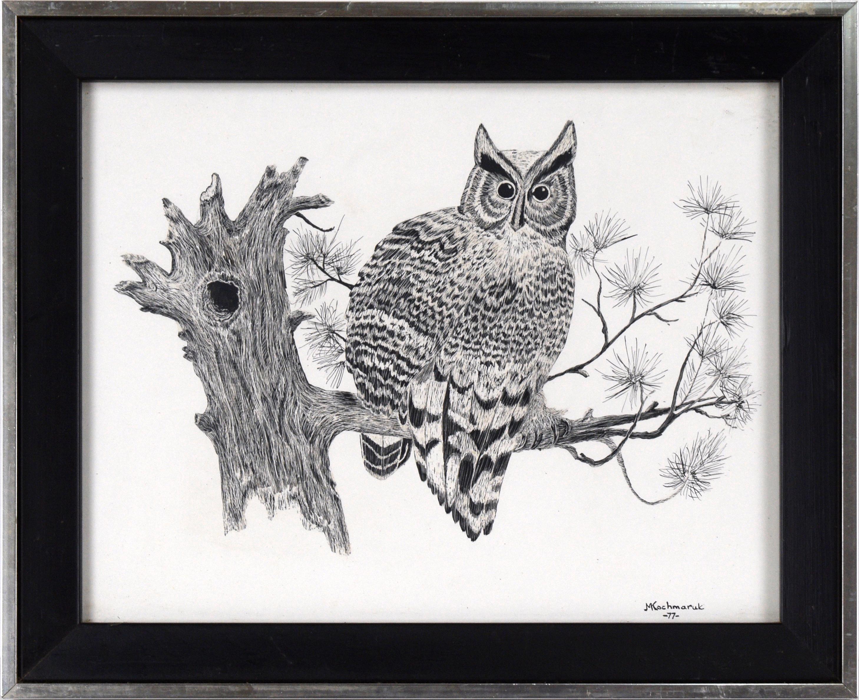 M. Kochmaruk Animal Art - Great Horned Owl Sitting on a Branch - Illustration in Ink on Cardstock