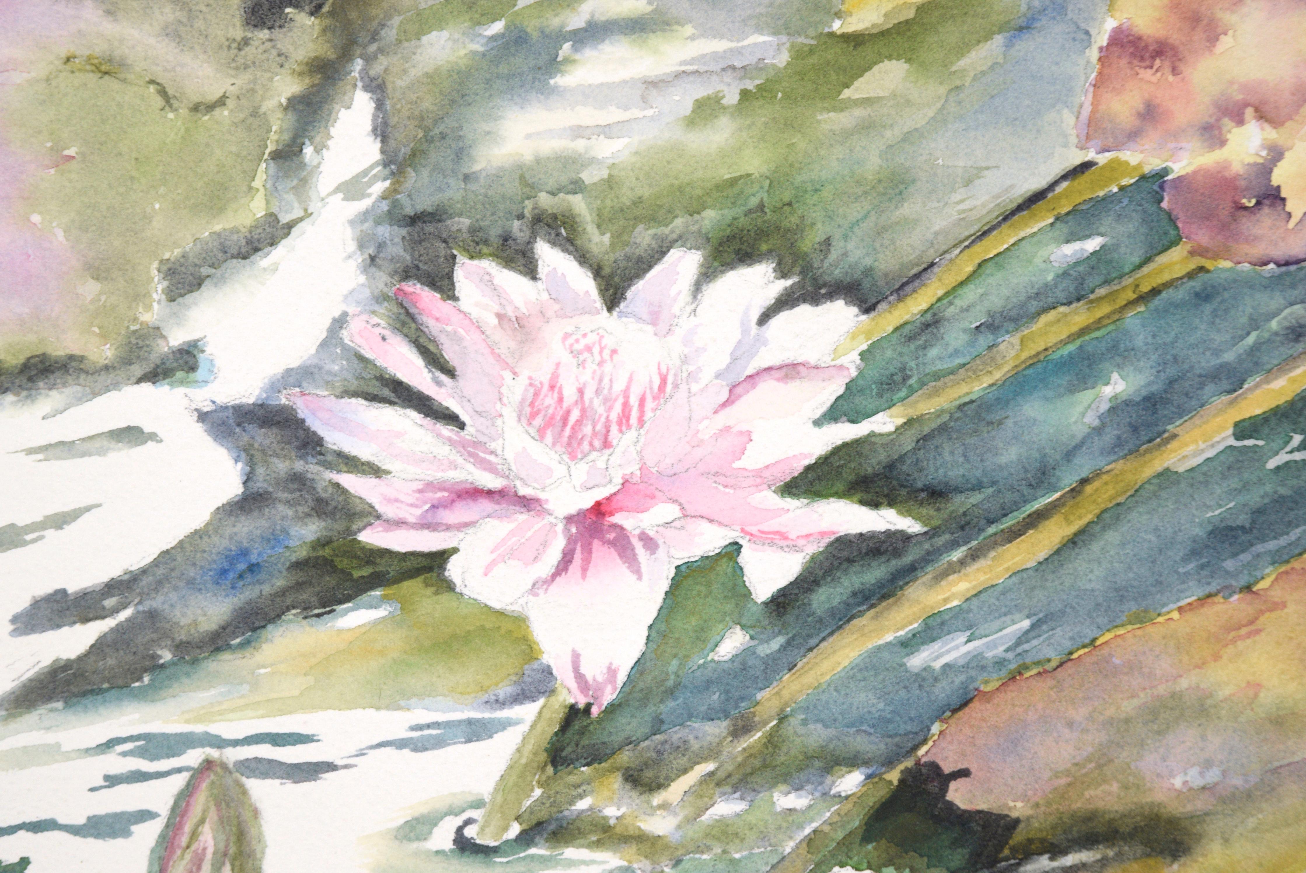 lotus flower on lily pad drawing