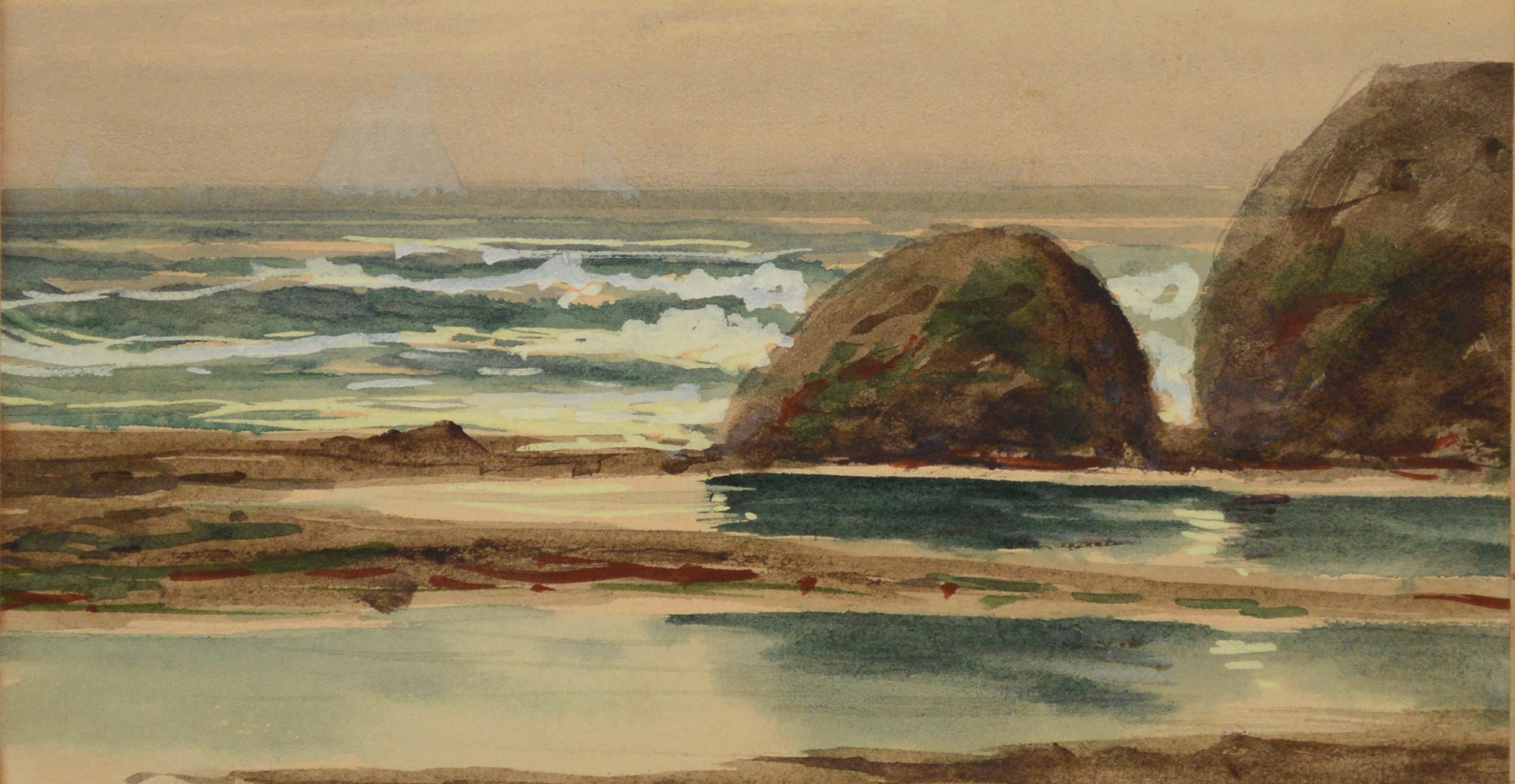 Goélettes sur la côte avec rochers, mares et oiseaux par Howard Garfield Gray en vente 5