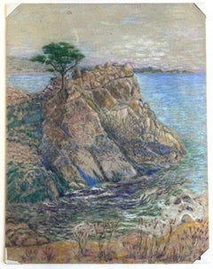Veteran Cypress at Carmel California by Hugh Moran 1936