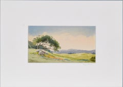"Ridge Oak" Northern Mt Tamalpais California Watercolor 1991