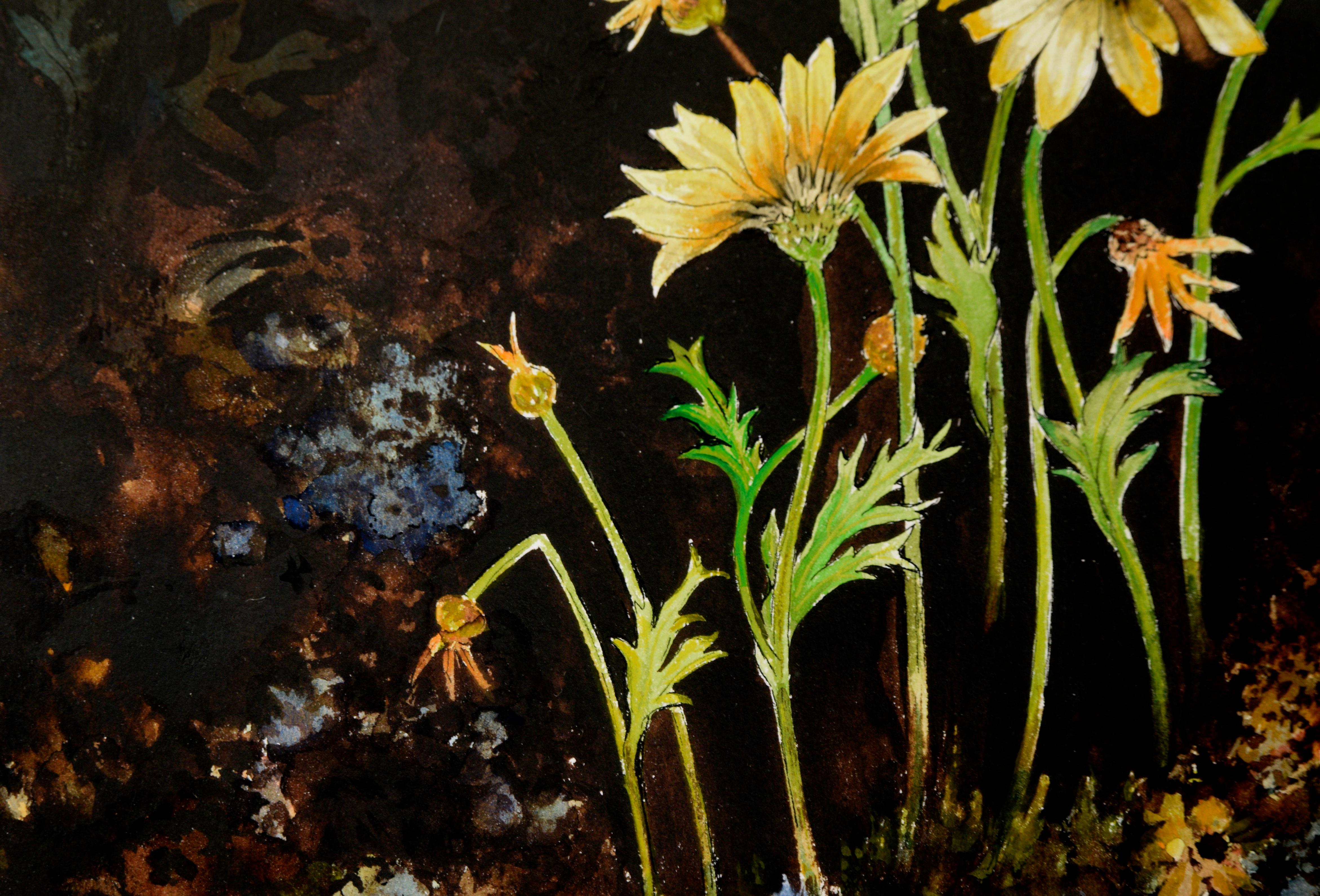 Vibrant, saturated watercolor of yellow daises and other flowers by Walnut Creek, California artist Olga Degles (French/American, 1911-1999). Several daisies are depicted against a dark umber background, creating an intense contrast. The dark area