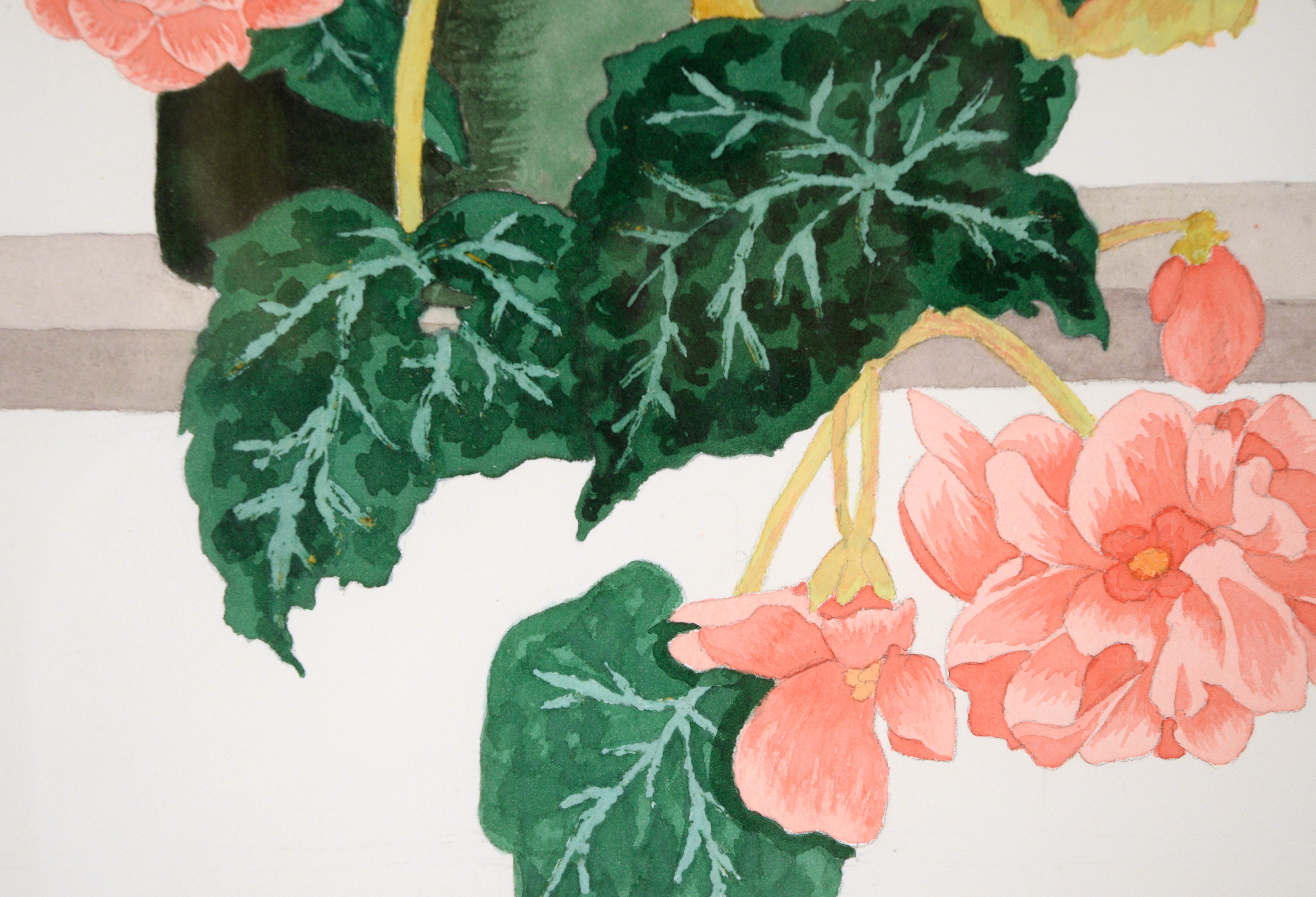 Pink Begonias - Floral Study in Watercolor on Heavy Paper - American Realist Art by Barbara Gibson