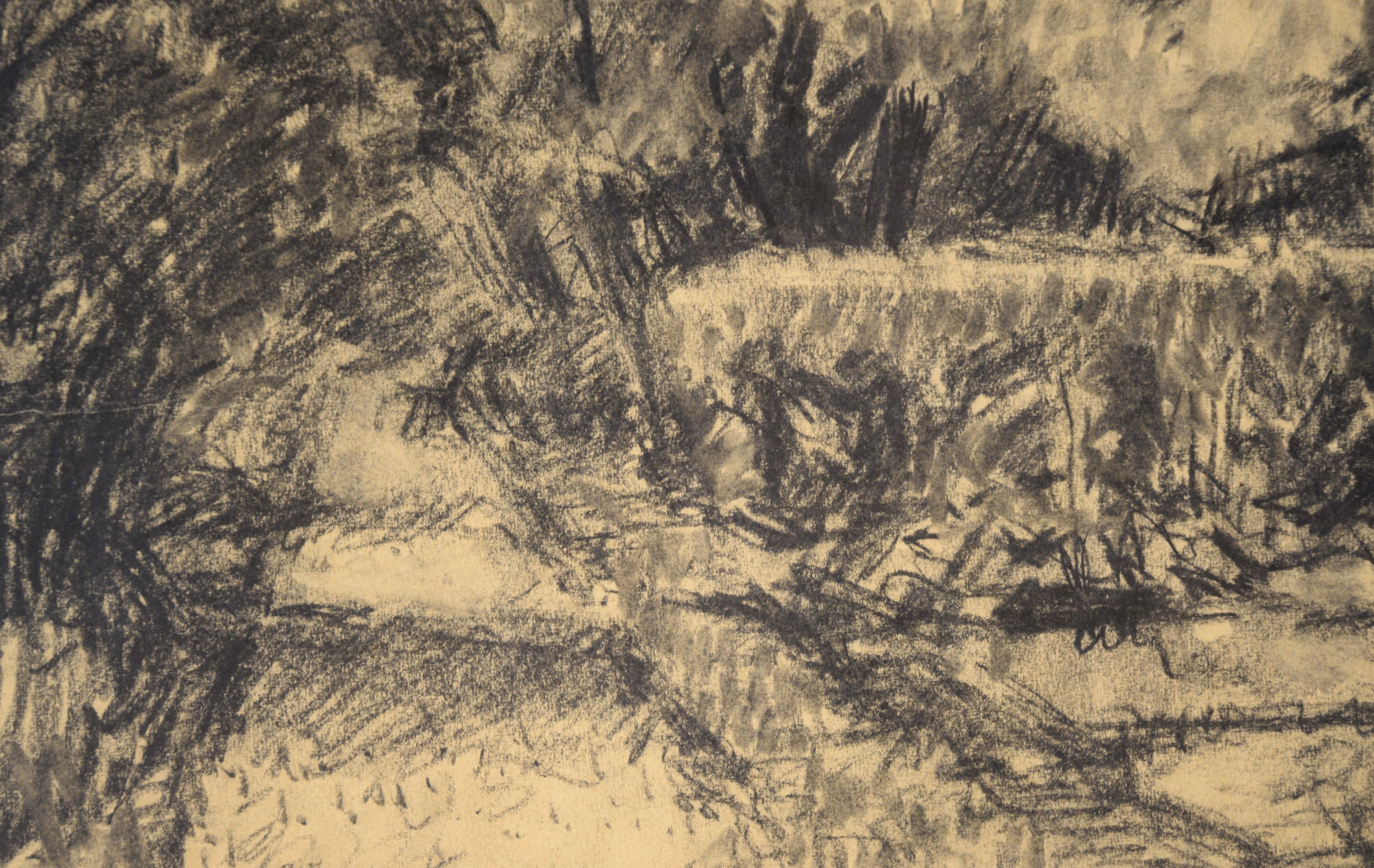 Blooming Apple Tree on Union Street - Finnish Landscape in Charcoal on Paper - Impressionist Art by Otto Makila