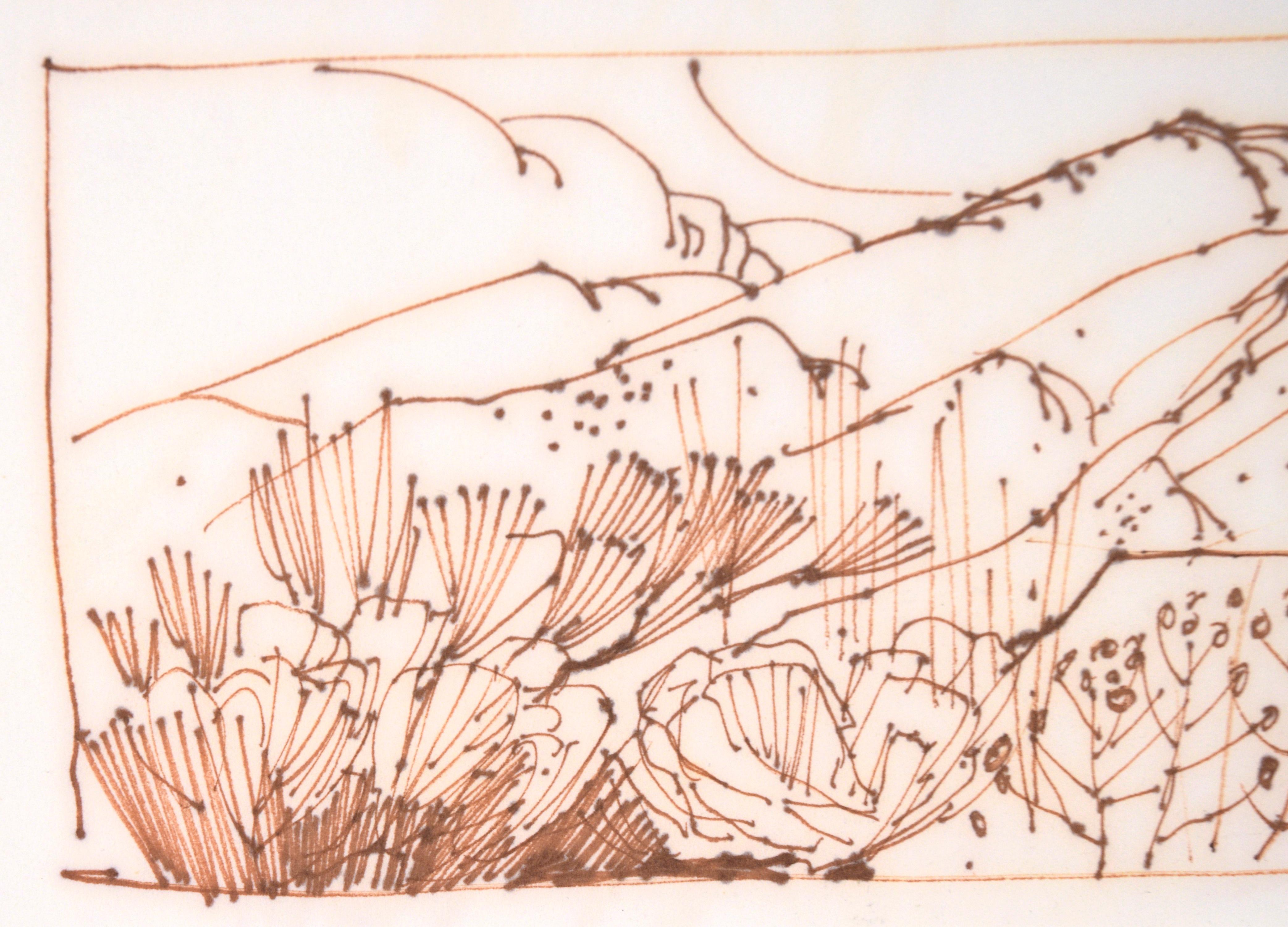 Two High Desert Landscapes - Line Drawing in Sepia-Toned Ink on Paper For Sale 1