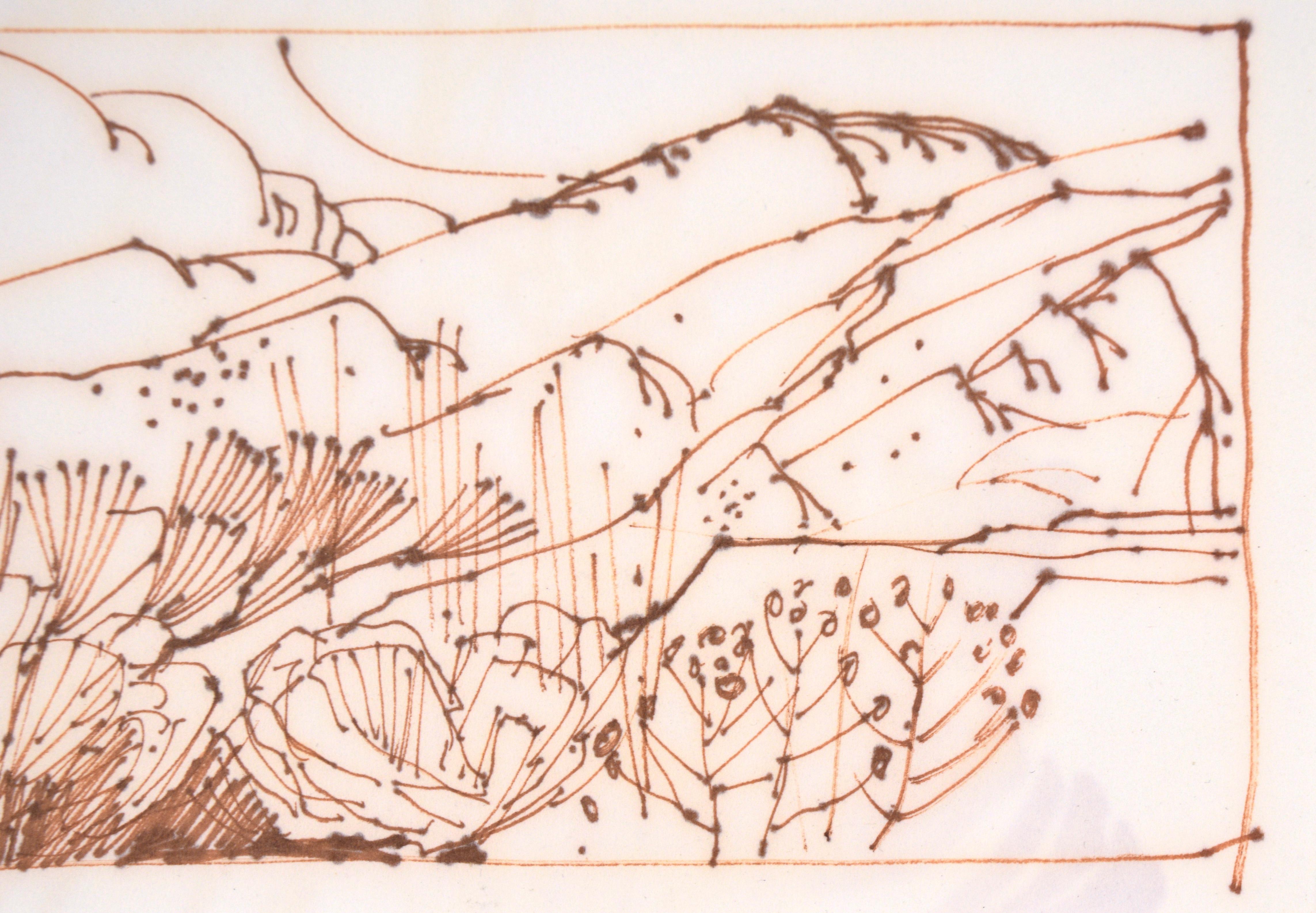 Two High Desert Landscapes - Line Drawing in Sepia-Toned Ink on Paper For Sale 2