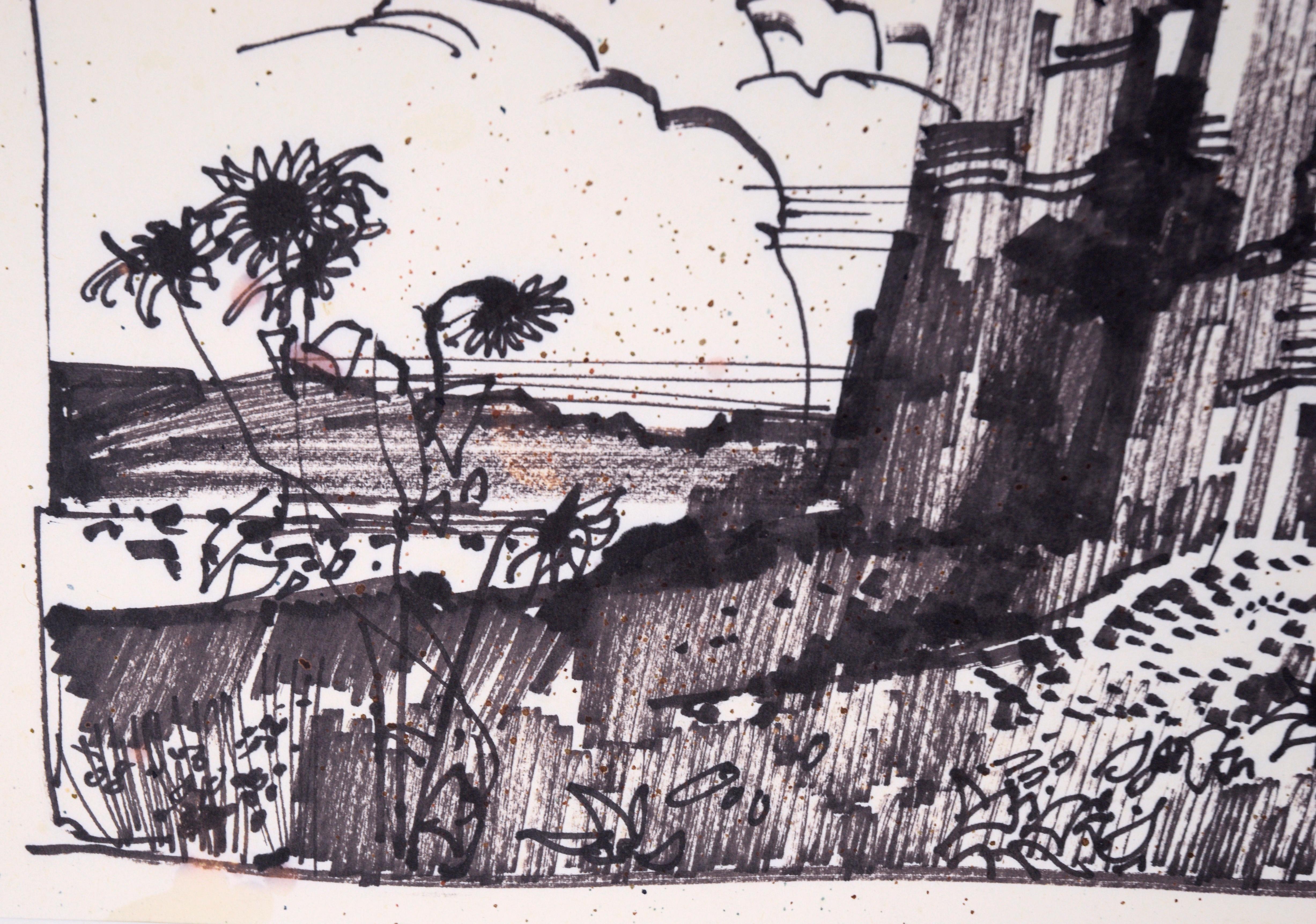 Desert Sunflowers & Petroglyphs - Line Drawing Landscape in Ink on Paper For Sale 4