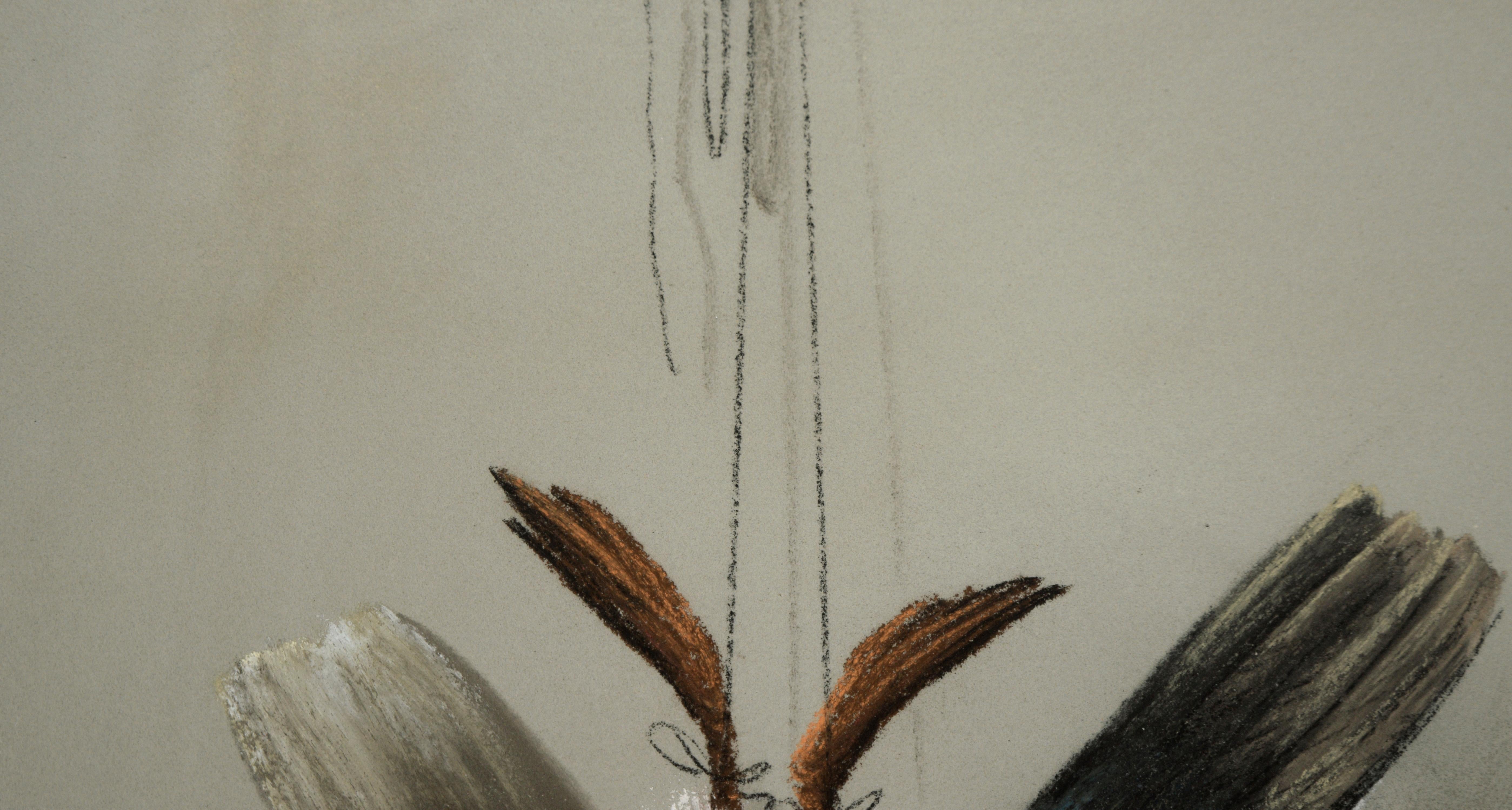 Deux canards - Style trompe-l'œil au pastel sur papier - Victorien Art par L V Seely