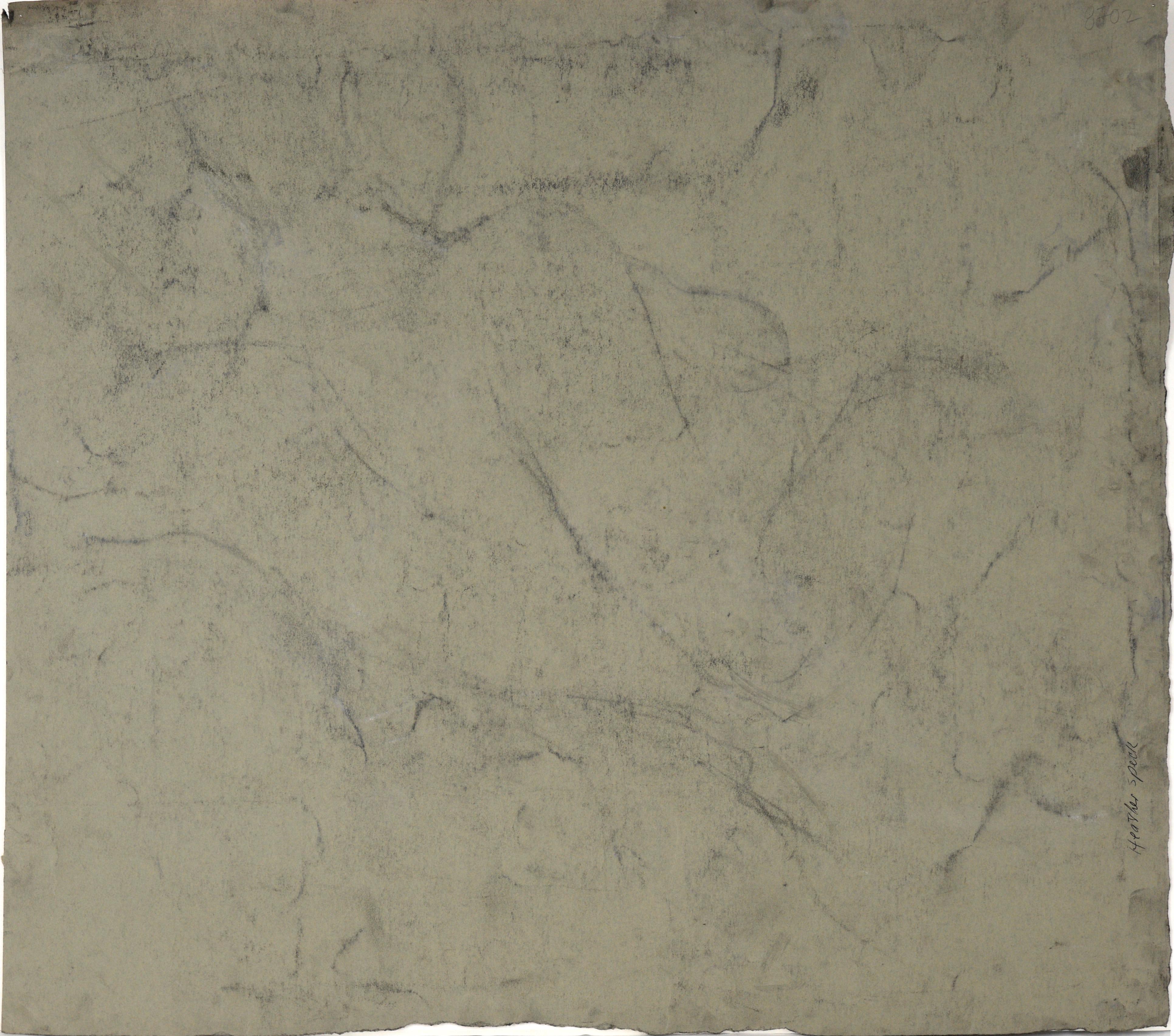 Donna nuda di spalle in carboncino su carta - Art Impressionismo americano di Heather Speck