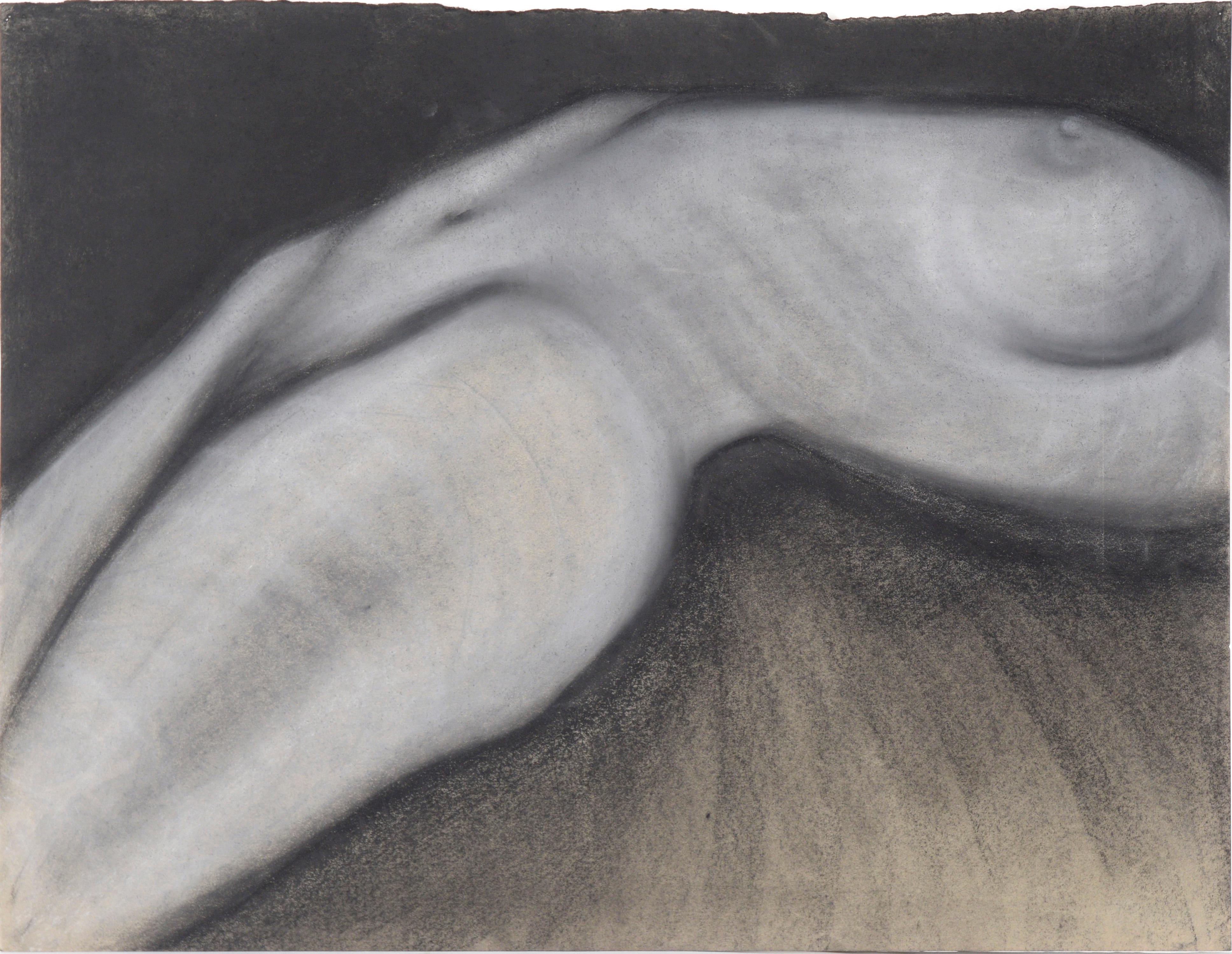 Nude Female Torso in Charcoal on Paper