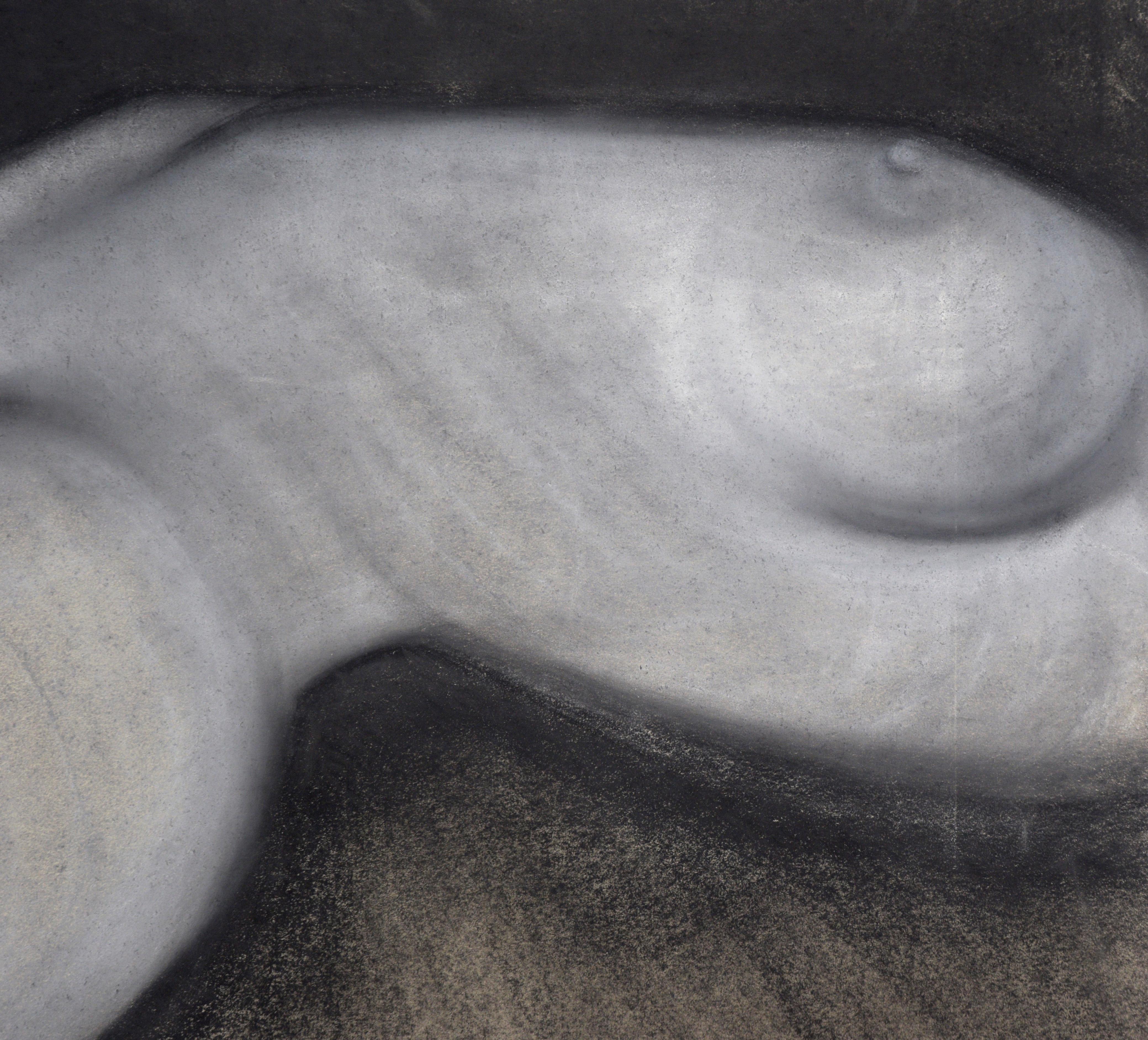 Nude Female Torso in Charcoal on Paper - American Impressionist Art by Heather Speck