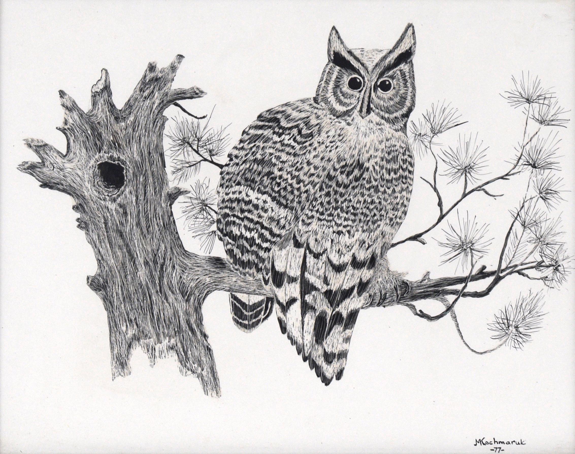 Great Horned Owl Sitting on a Branch - Illustration in Ink on Cardstock - Art by M. Kochmaruk