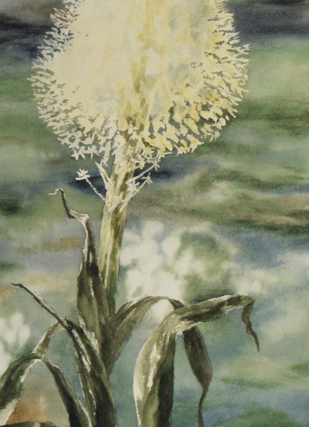 Beargrass - Original Watercolor on Paper

Original watercolor depicting beargrass, also known as horse tail, by Marie Yunker (American, 20th C). Hues of greens and blues take up the background while the beargrass is shown as the focal point. 
Signed