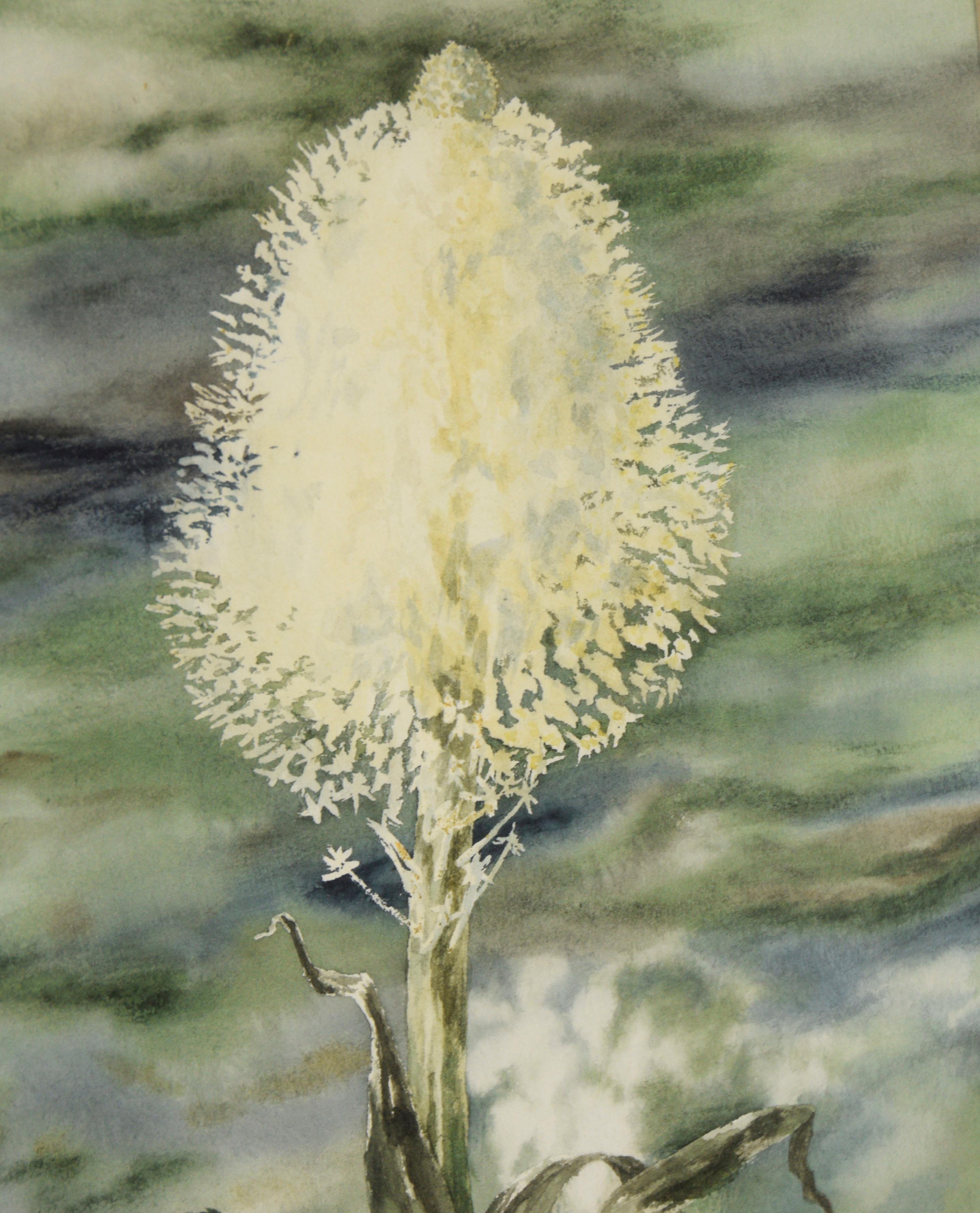 Bärengras - Original Aquarell auf Papier (Amerikanischer Impressionismus), Art, von Marie Yunker