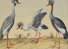 "Three Herons" - Hand Watercolor Engraving