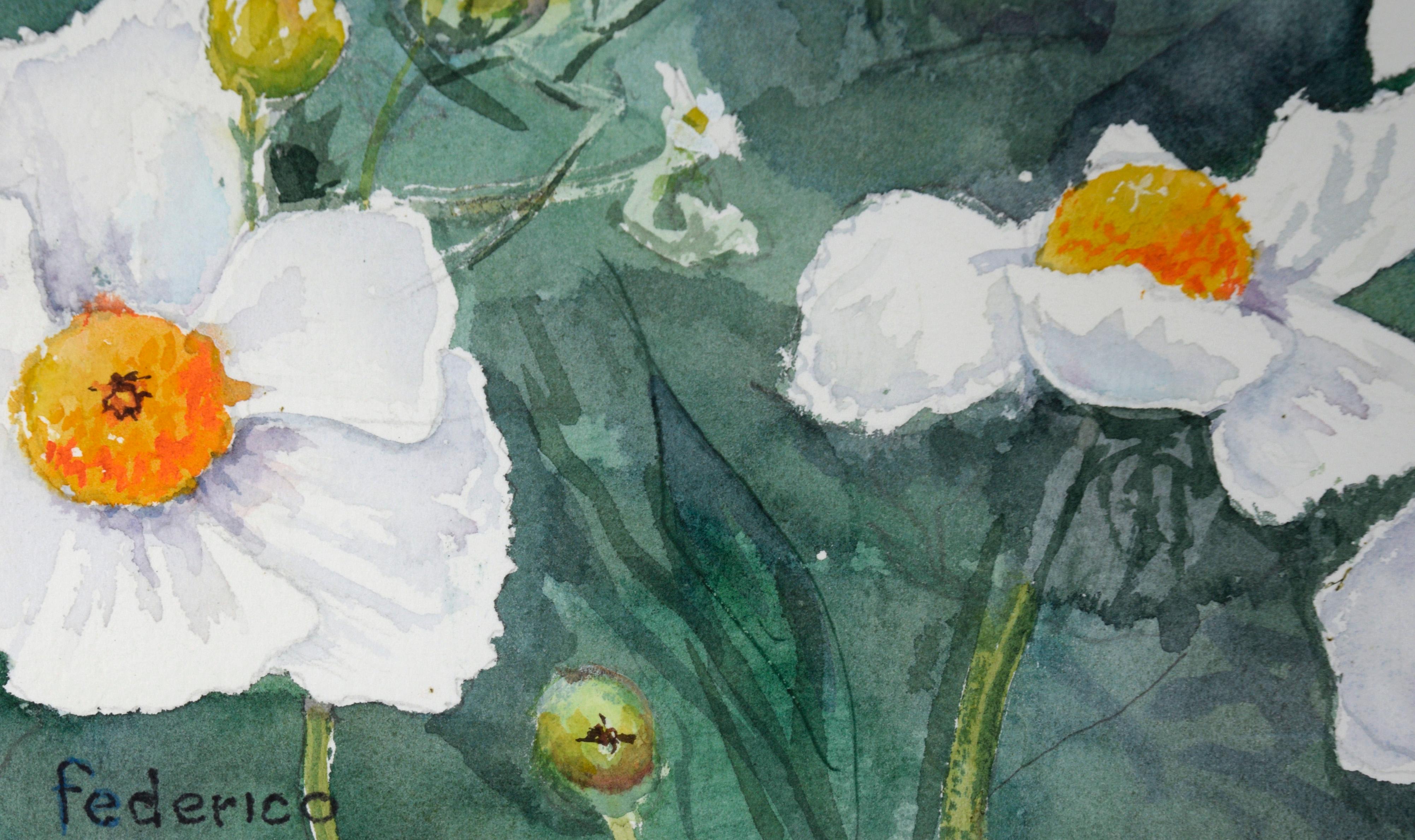 Coquelicots blancs - Aquarelle botanique sur papier en vente 2
