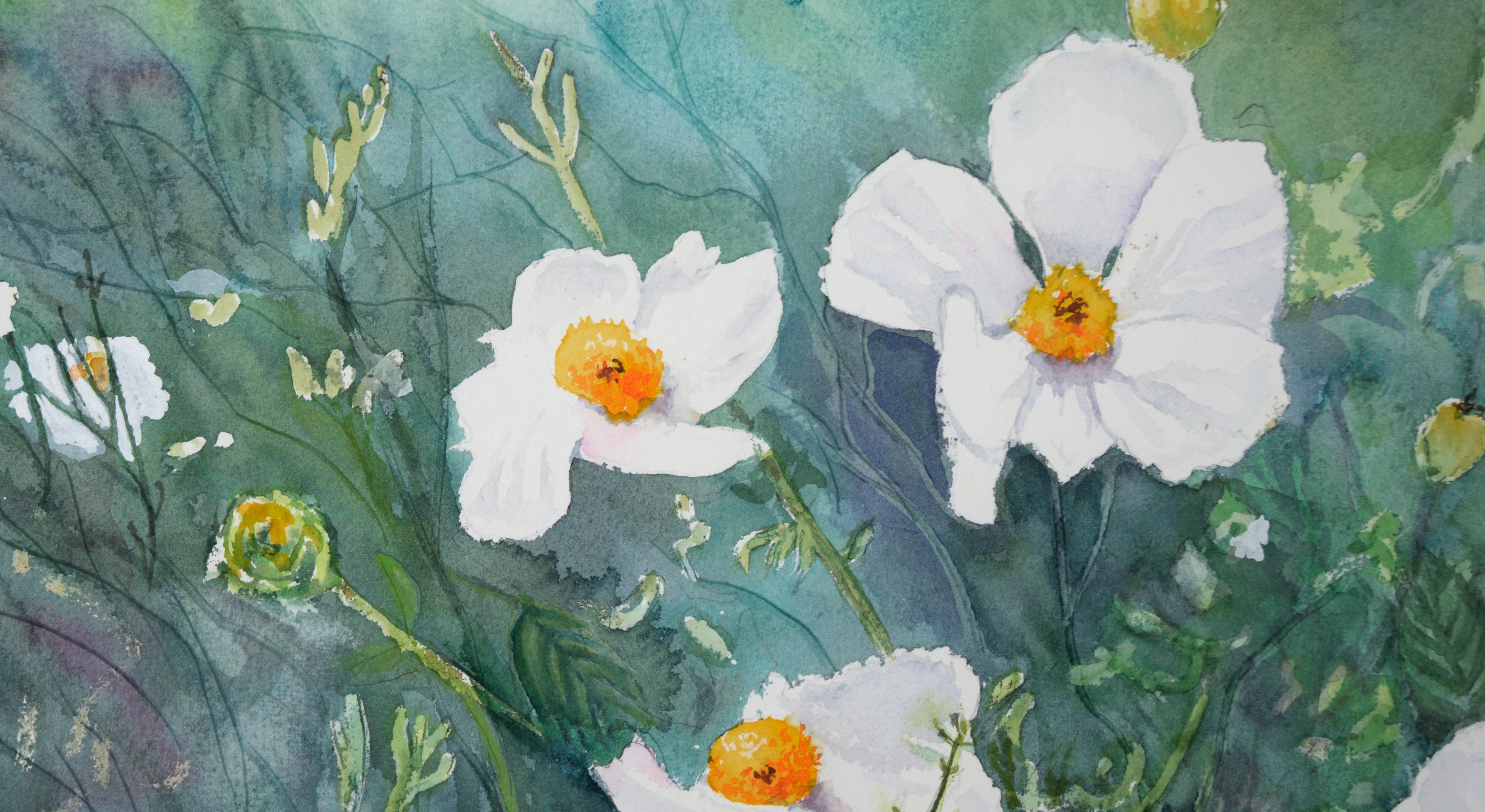 Coquelicots blancs - Aquarelle botanique sur papier - Modernisme américain Art par Harry Federico