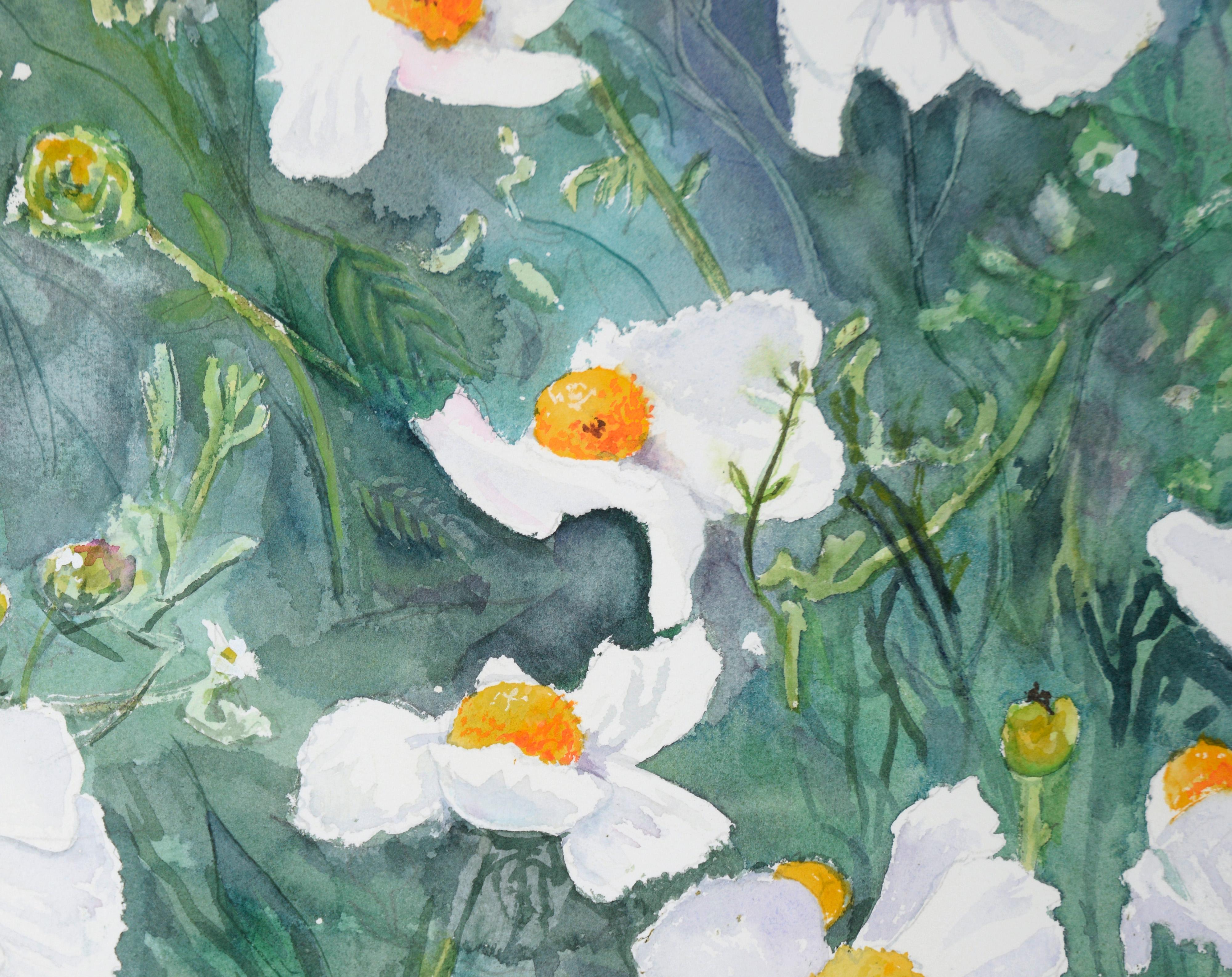 Coquelicots blancs - Aquarelle botanique sur papier en vente 1