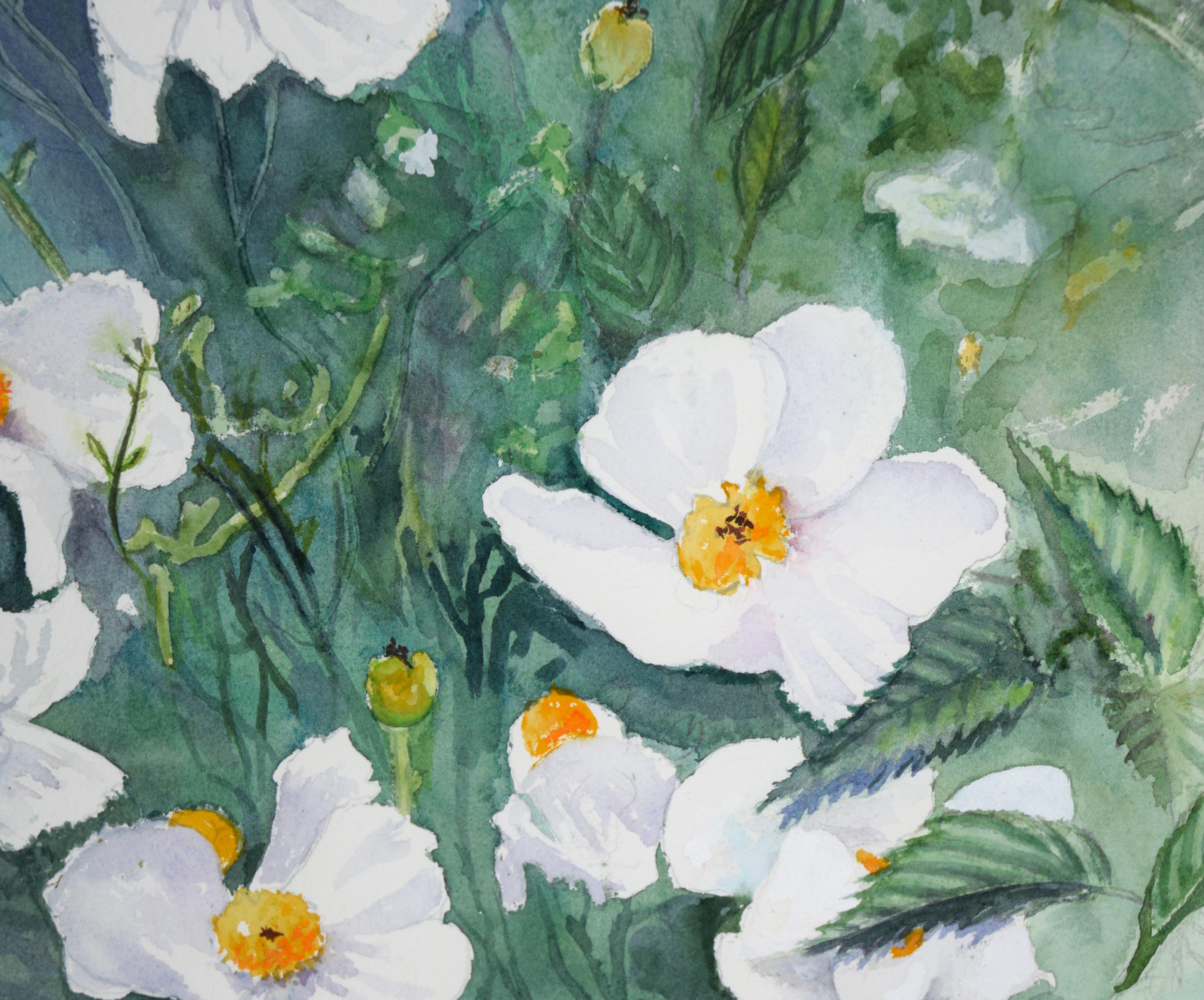 Coquelicots blancs - Aquarelle botanique sur papier

Aquarelle florale détaillée de Harry Federico (américain, 1922-2022). Plusieurs coquelicots blancs avec des centres jaunes sont représentés sur un fond vert. L'arrière-plan est composé d'autres