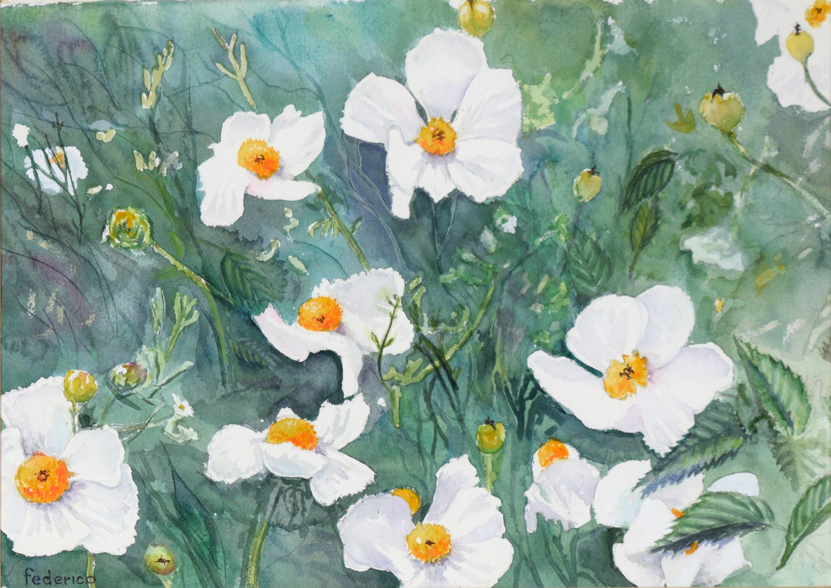 Coquelicots blancs - Aquarelle botanique sur papier - Art de Harry Federico