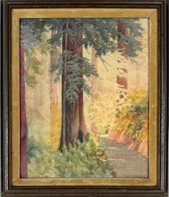 Le sequoie della costa della California settentrionale - Acquerello di Lillian Dake Heath