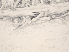 "Fallen Ponderosa" Original California Pencil Drawing, signed, 1973