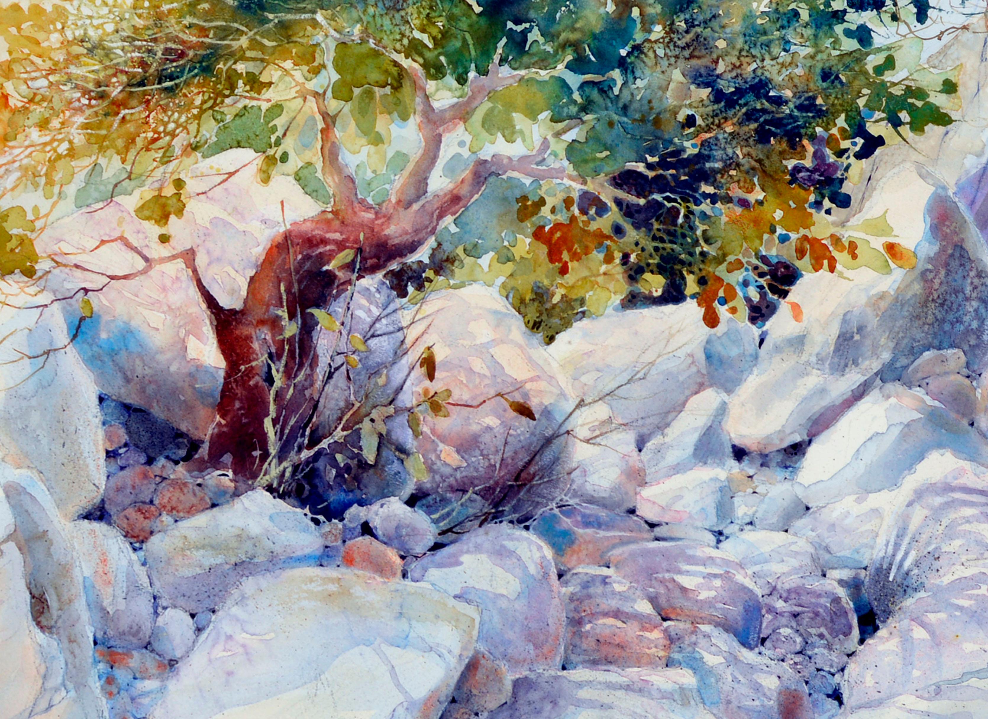 Aquarelle de paysage rocheux  - Impressionnisme américain Art par Julie Gilbert Pollard