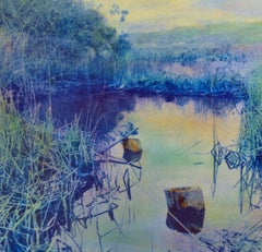 Carmel Marsh, California Landscape