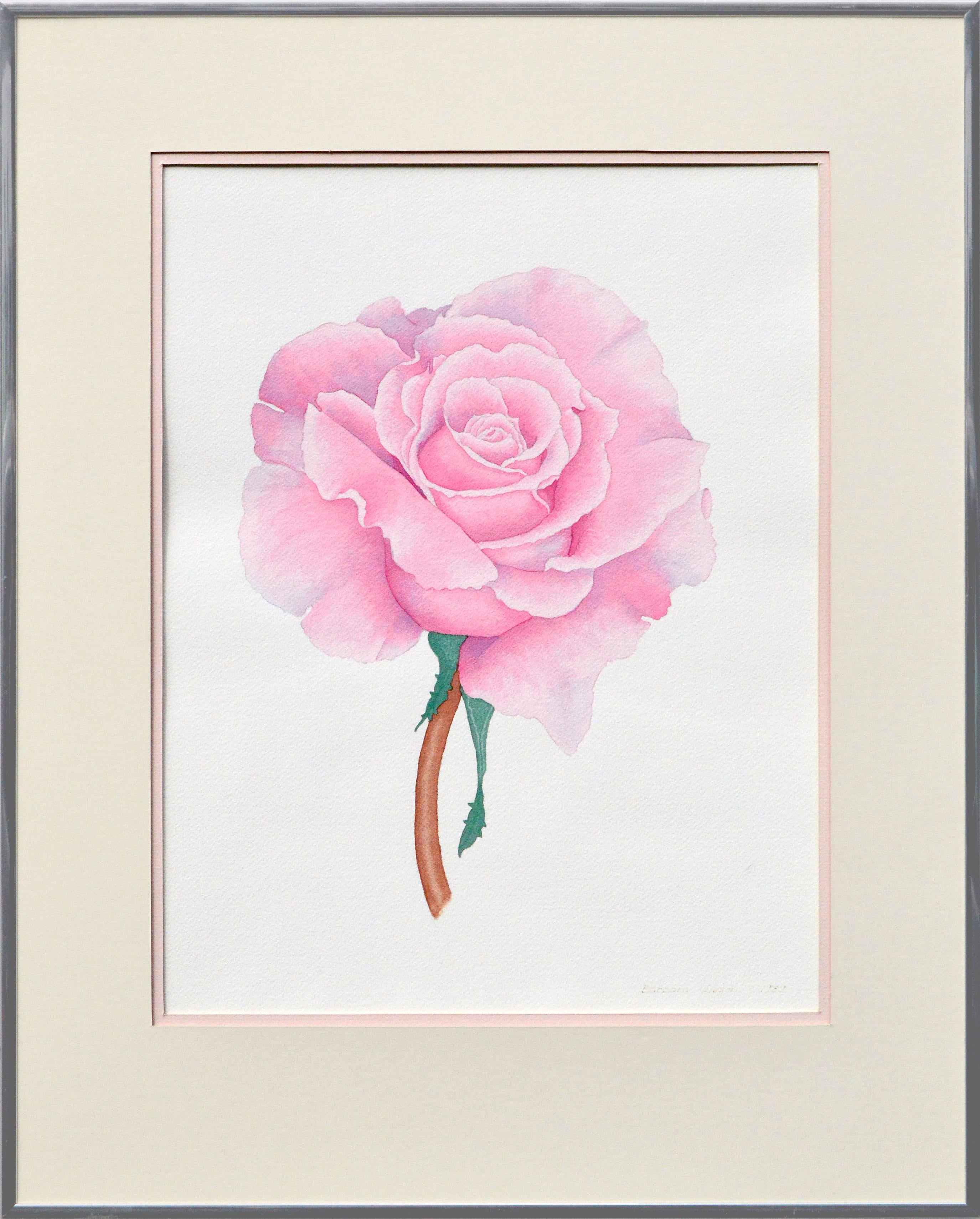 Barbara Gibson Still-Life - Pink Rose Floral Study