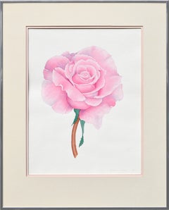 Pink Rose Floral Study