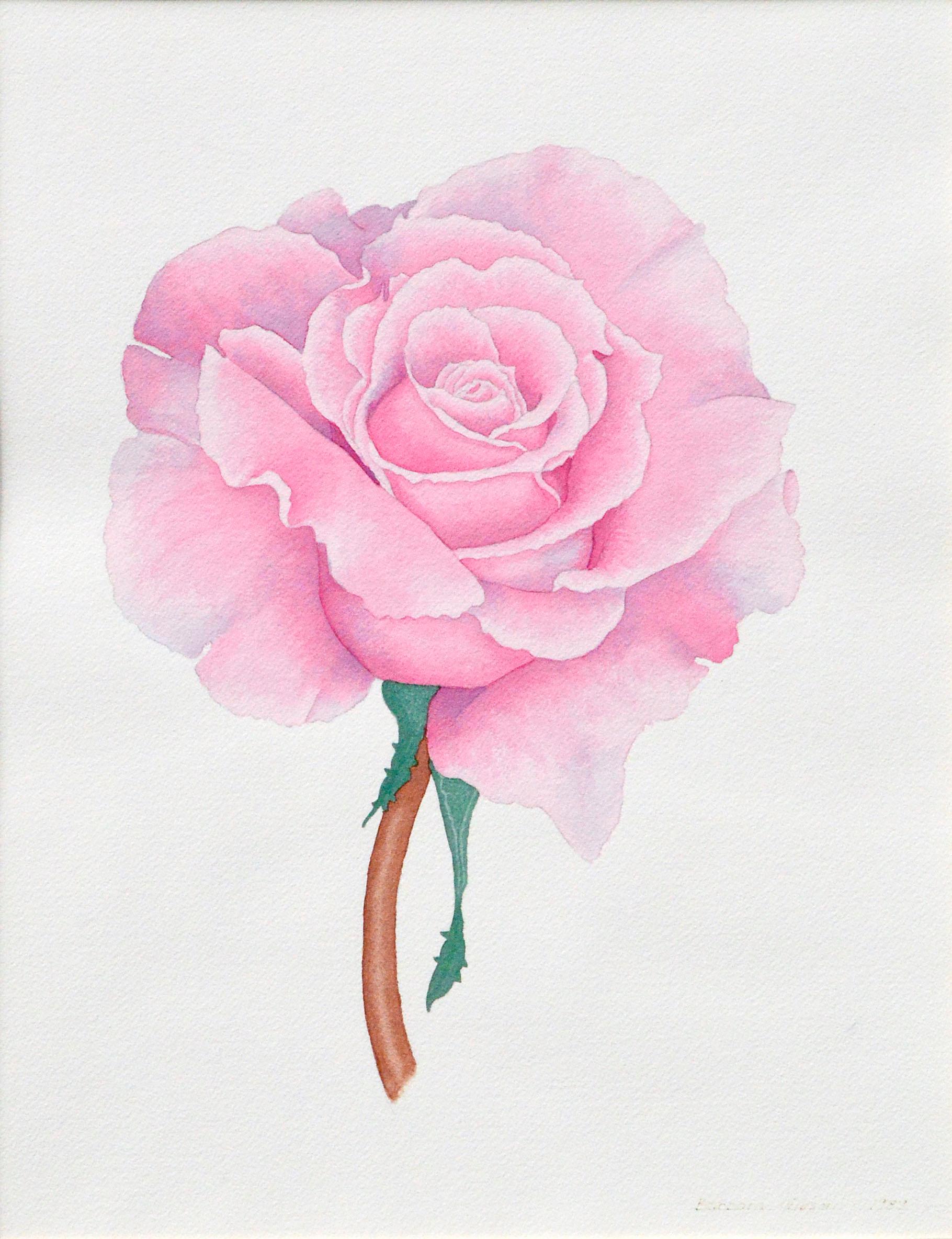 Étude florale rose et rose - Art de Barbara Gibson