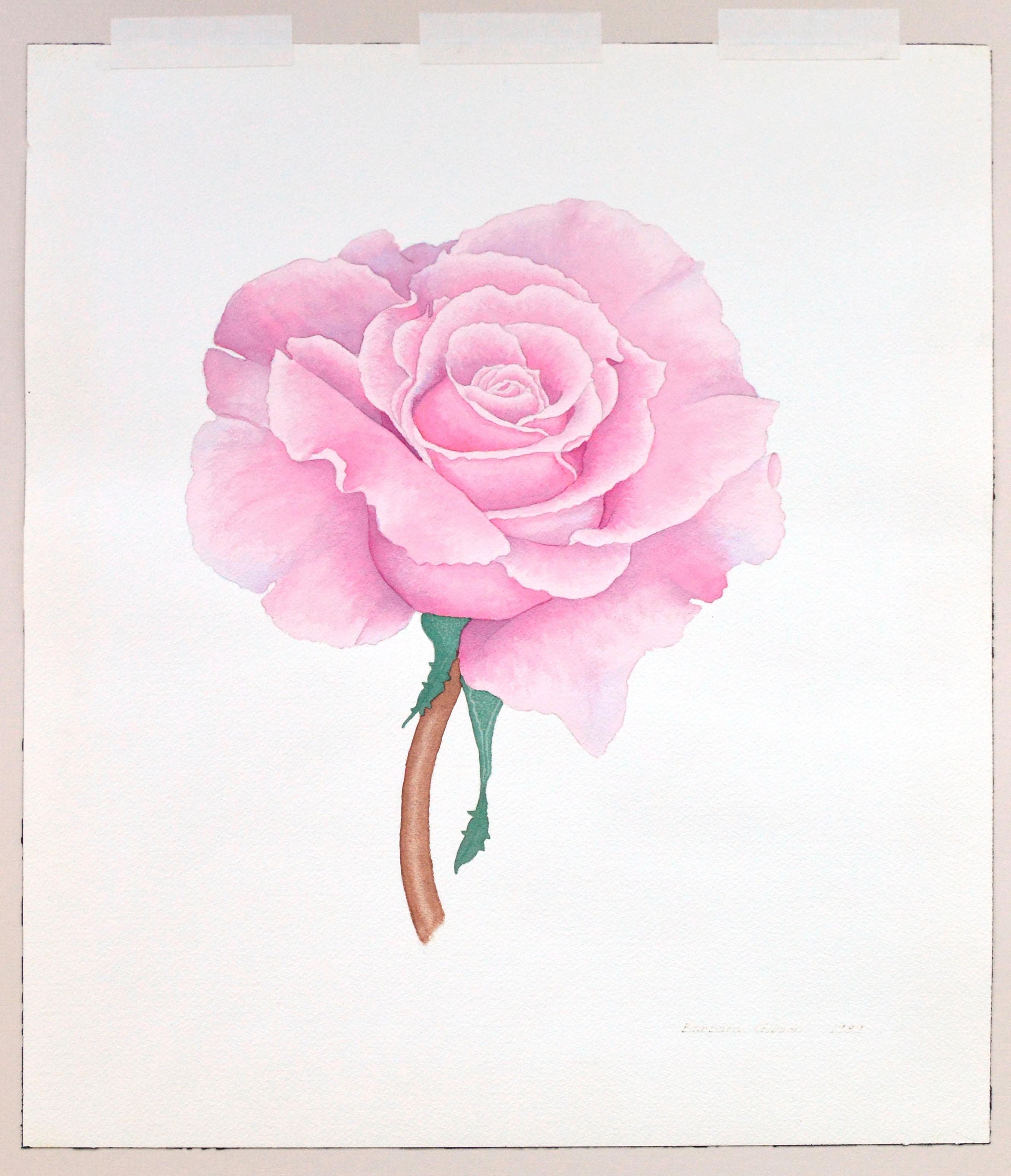 Rosa Rosenblumenstudie (Amerikanischer Realismus), Art, von Barbara Gibson