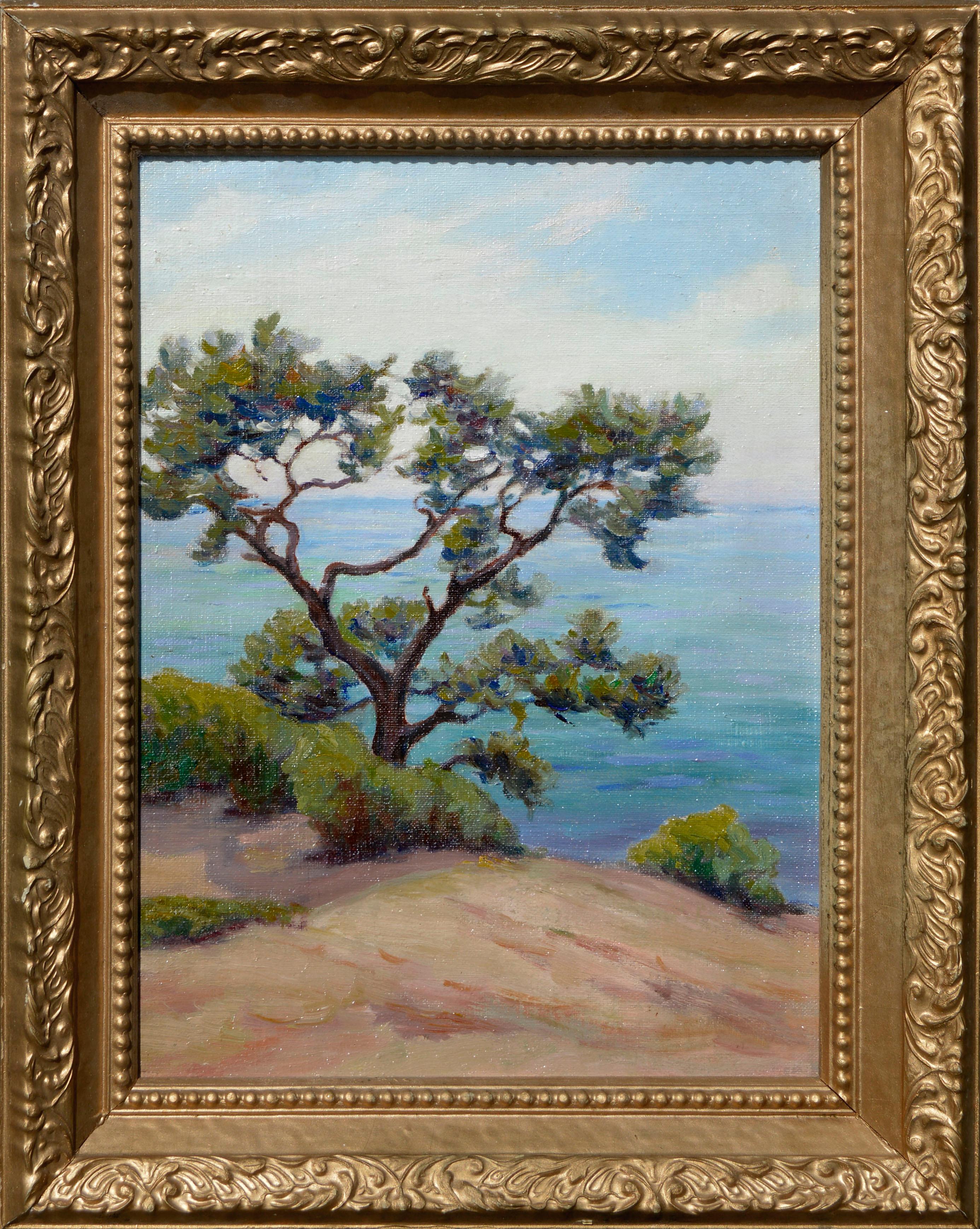 Edith Frazier Hudson Landscape Painting - A Torrey Pine, San Diego, California Edith Hudson
