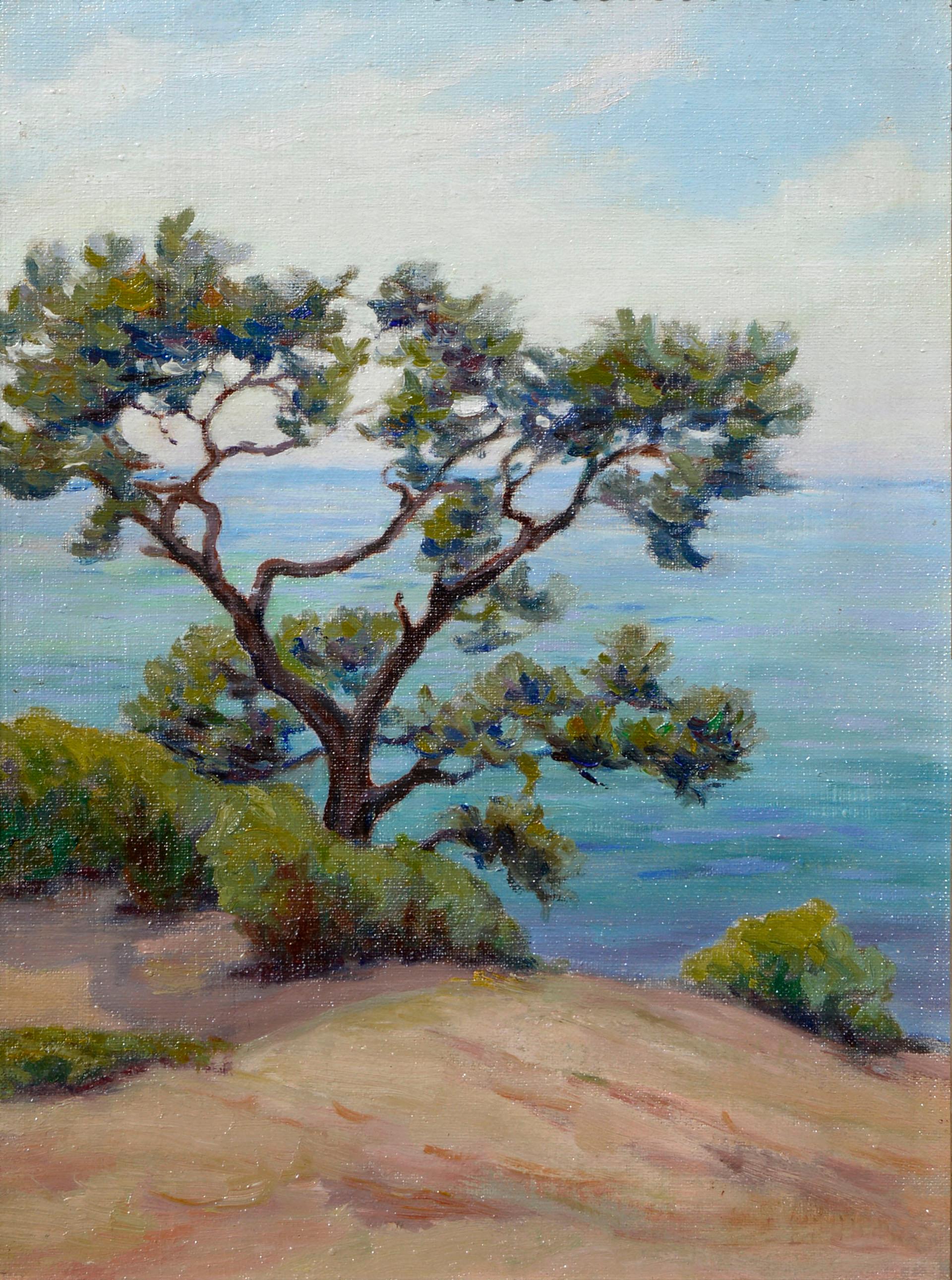 A Torrey Pine, San Diego, California Edith Hudson - Painting by Edith Frazier Hudson