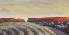 "Passaggio" - Paesaggio del sentiero del deserto